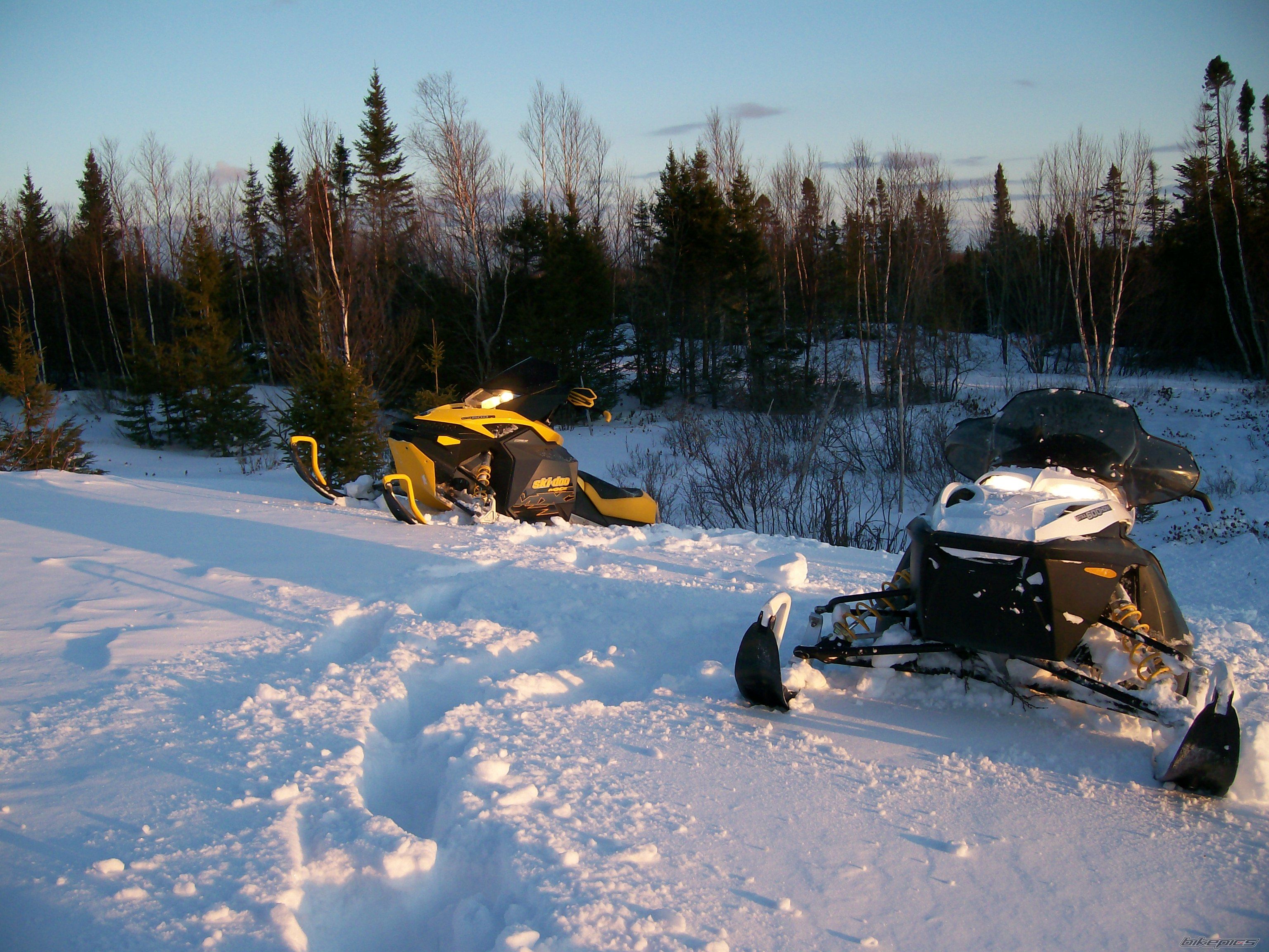 Photo 2478968