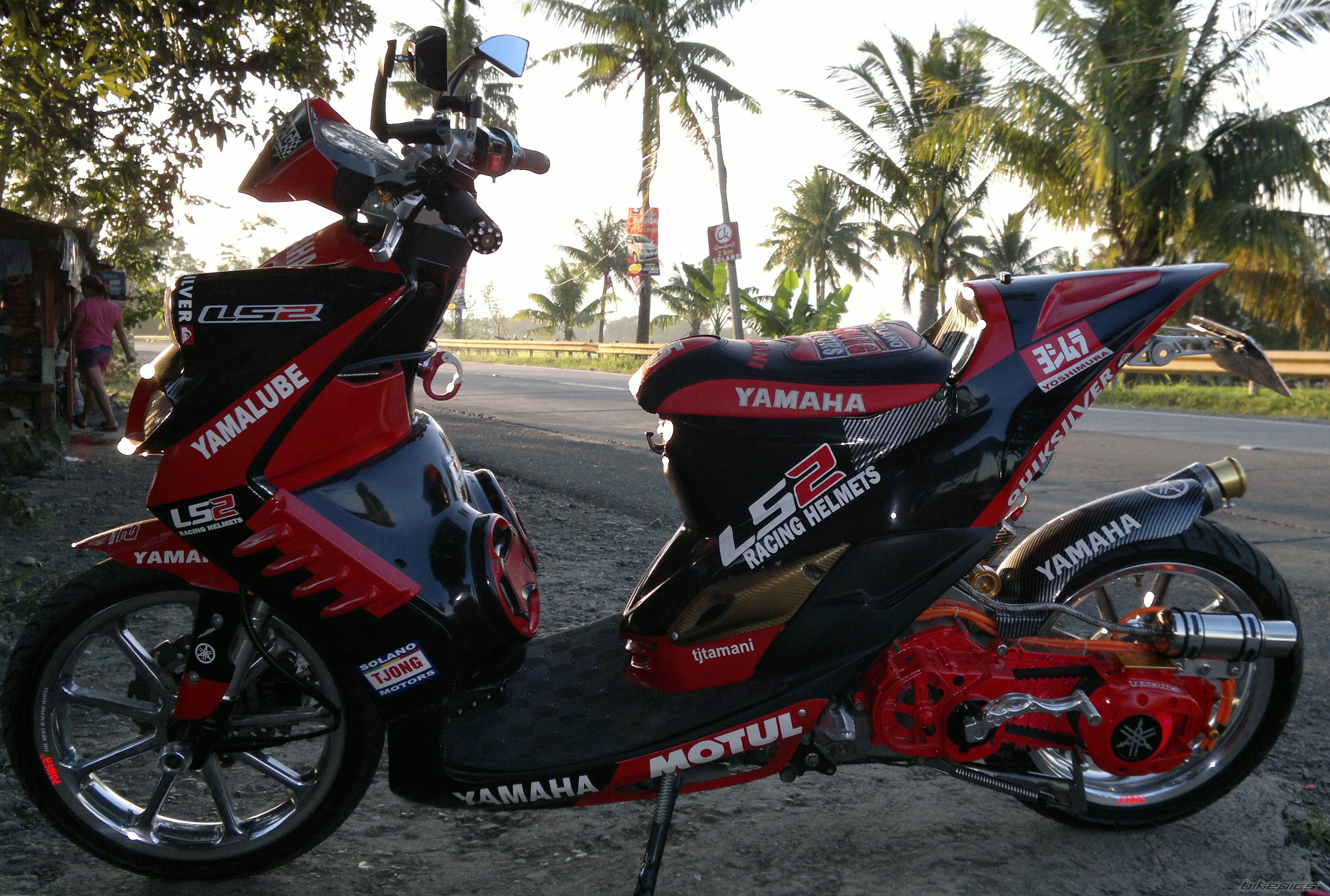 Photo 2479012