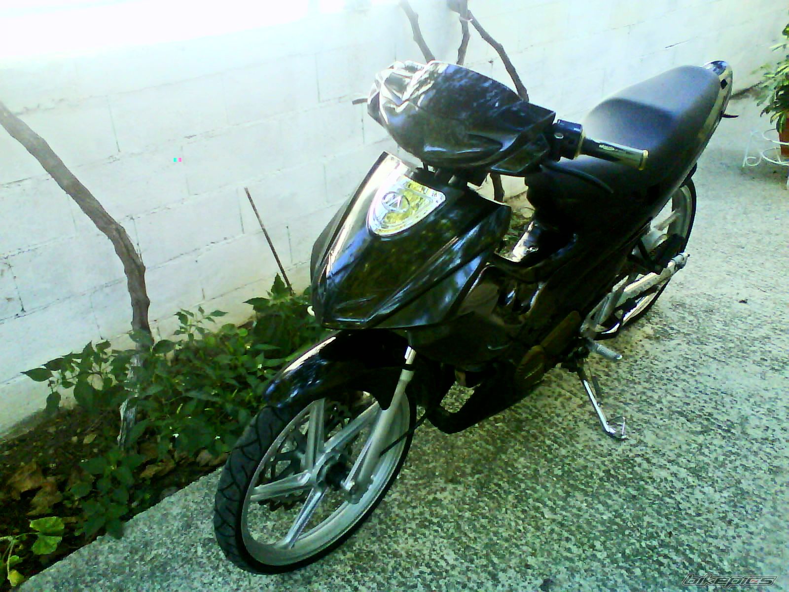 Photo 2479017