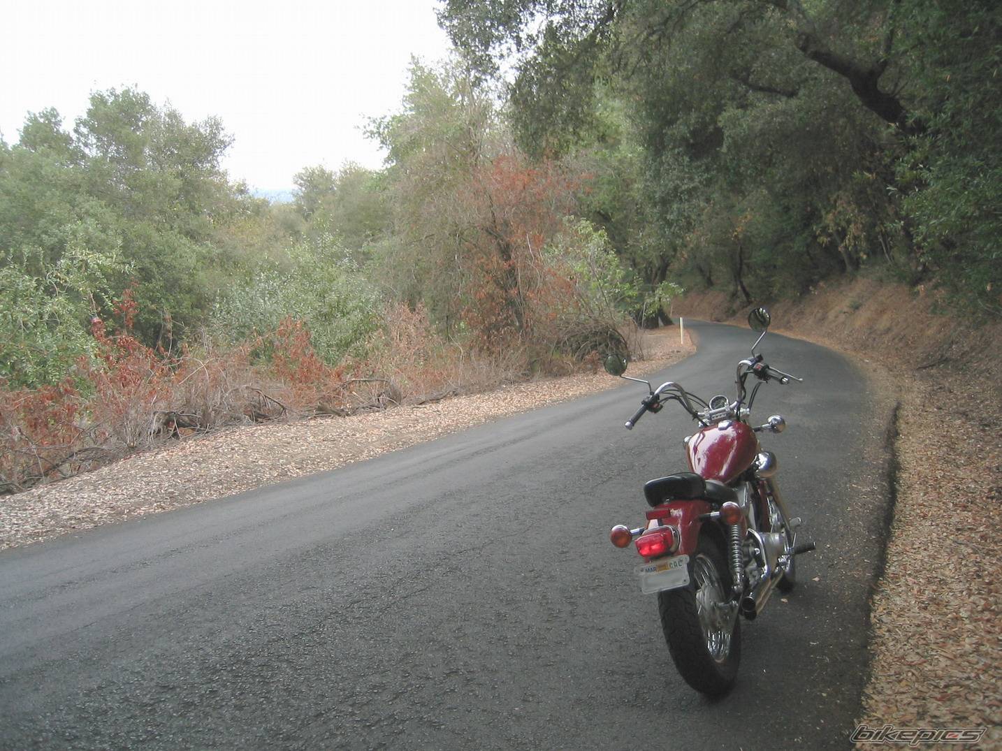 Photo 247908