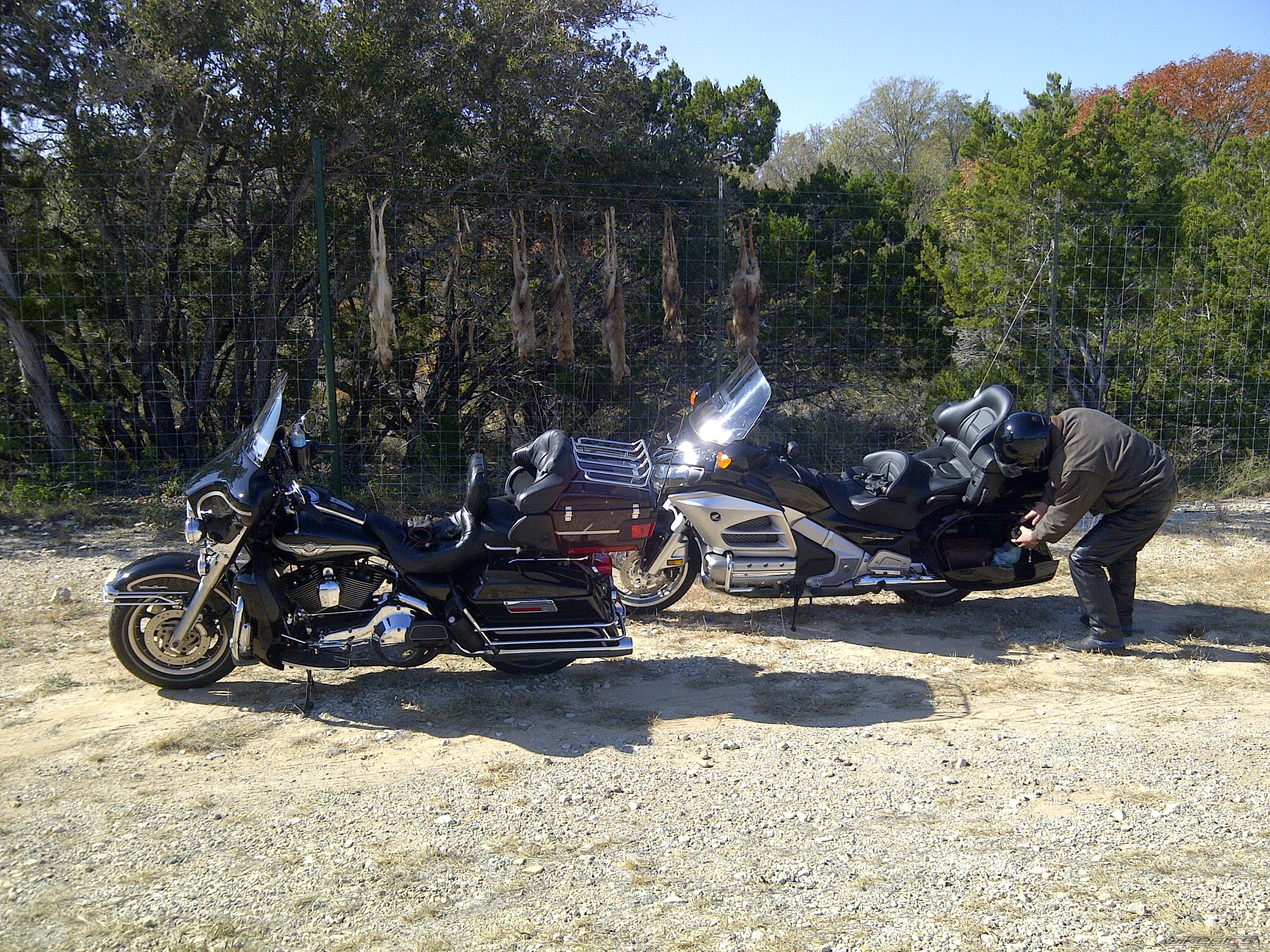 Photo 2479082