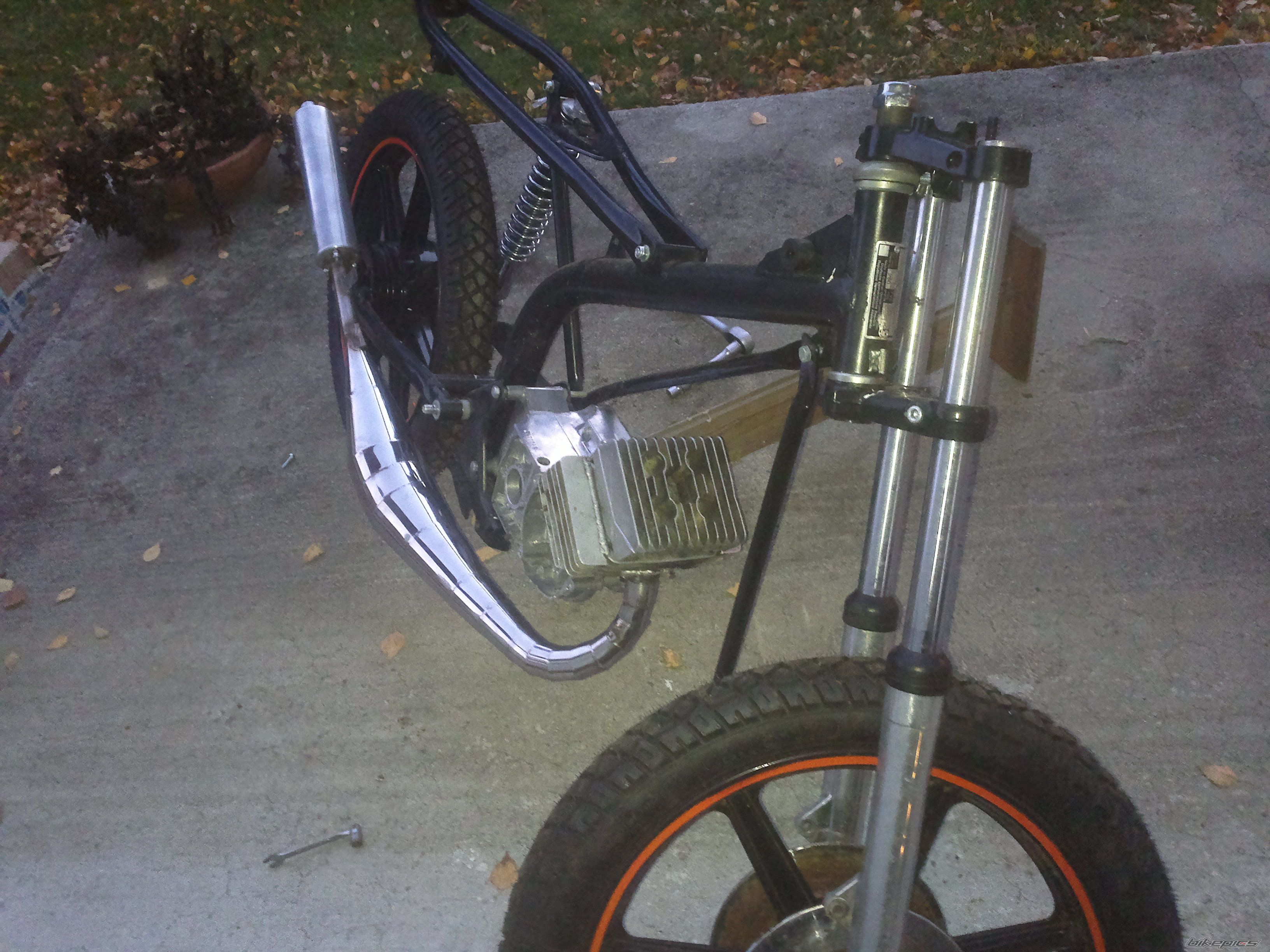 Photo 2479120