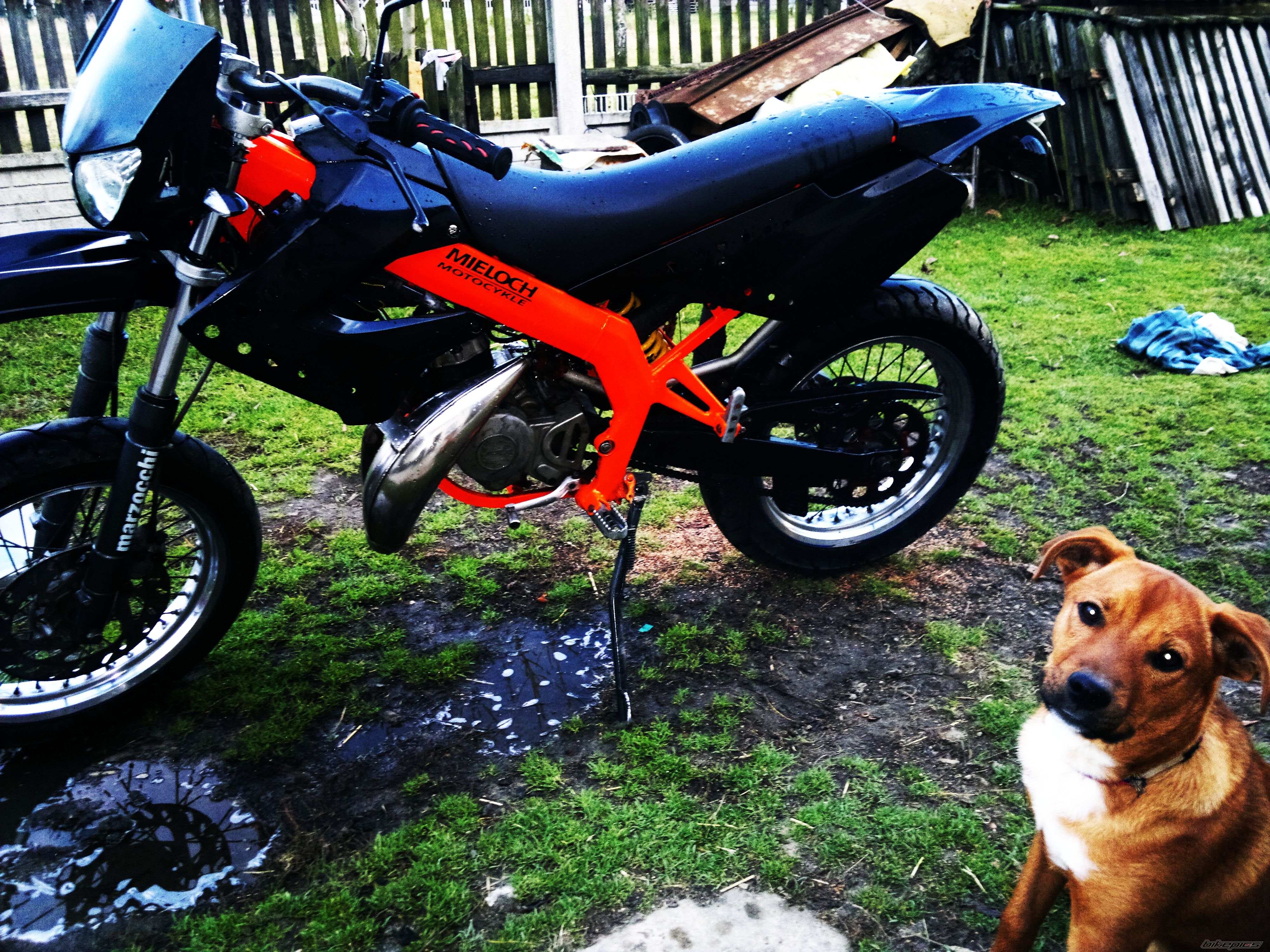 Photo 2479164