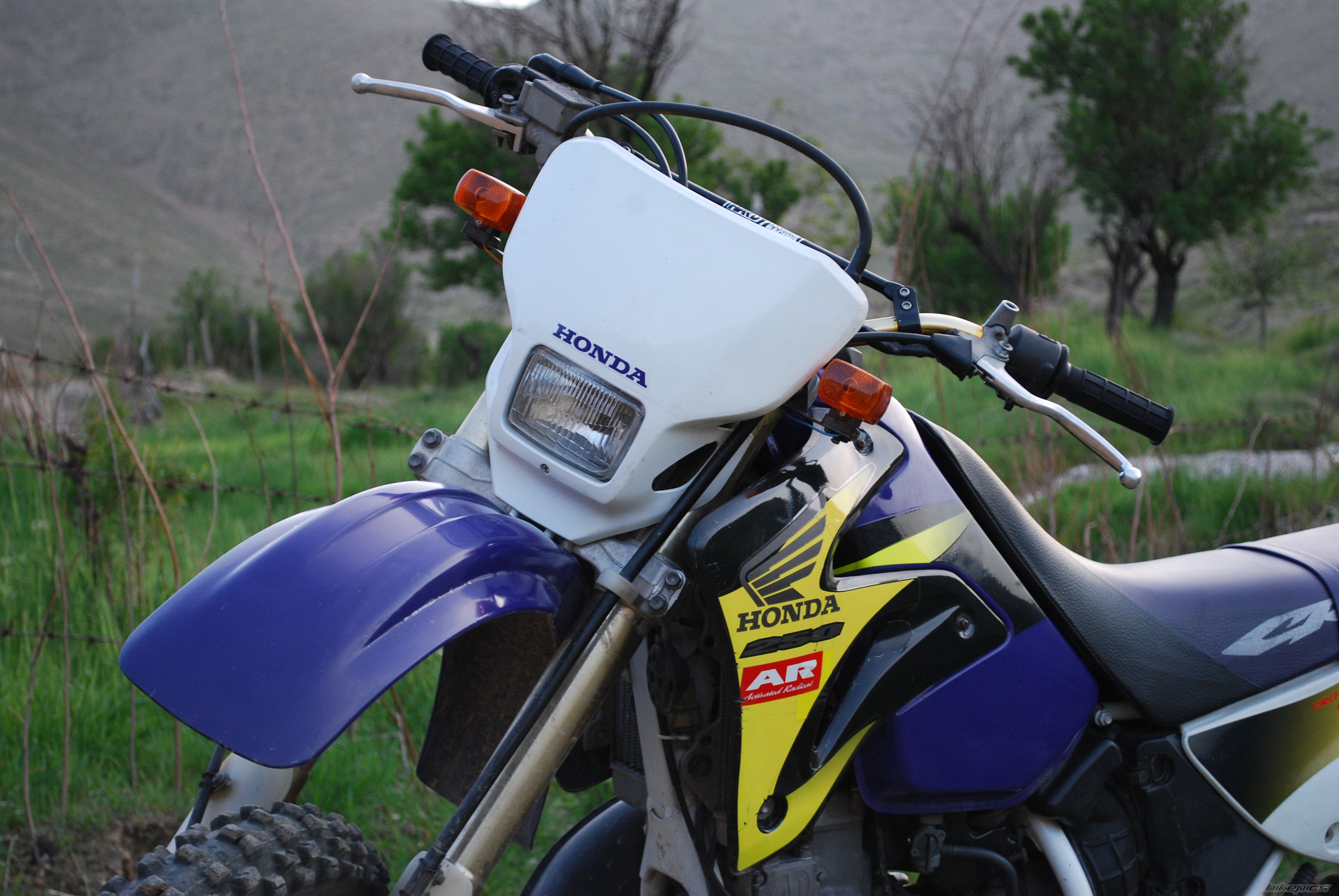 Photo 2479181