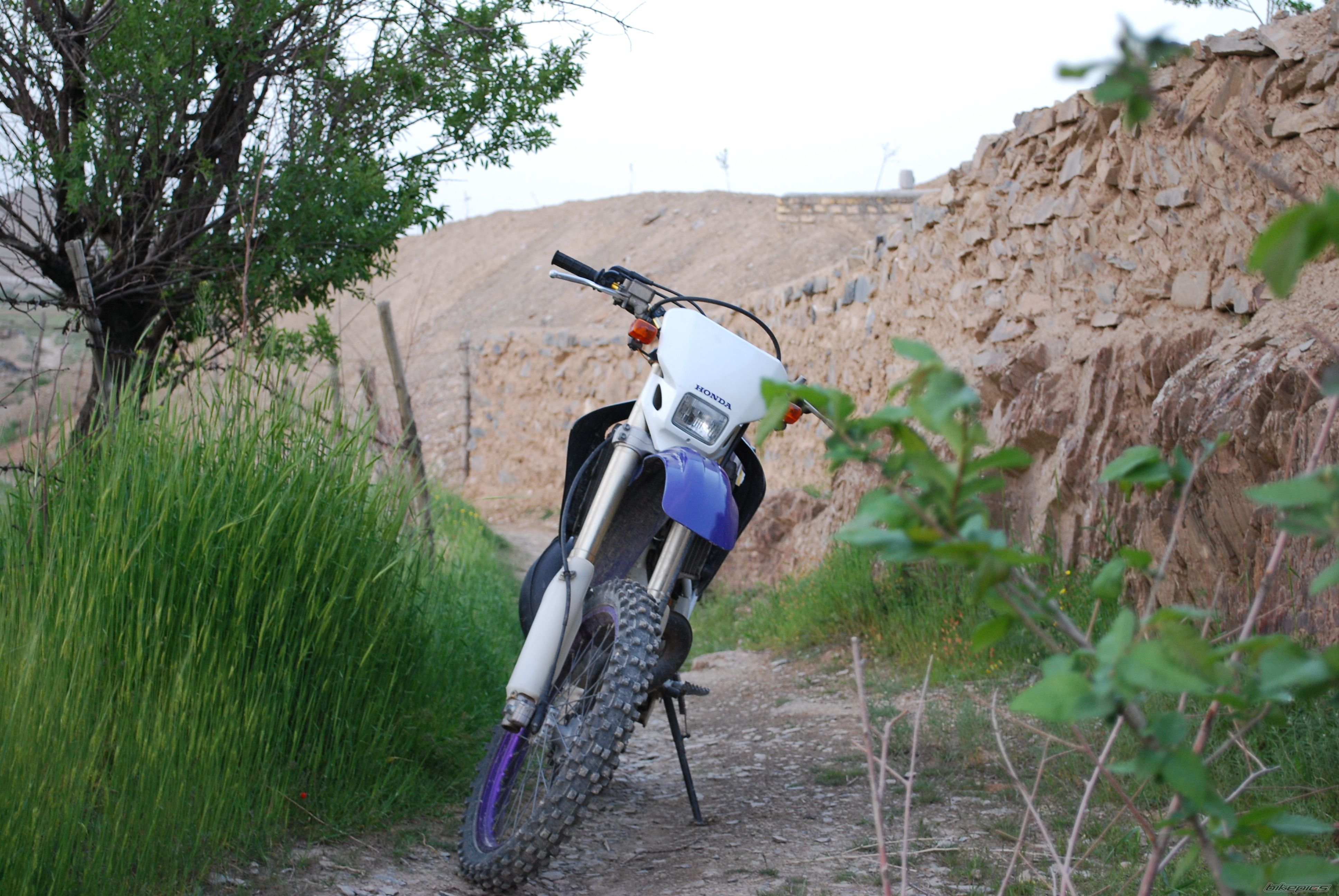 Photo 2479187