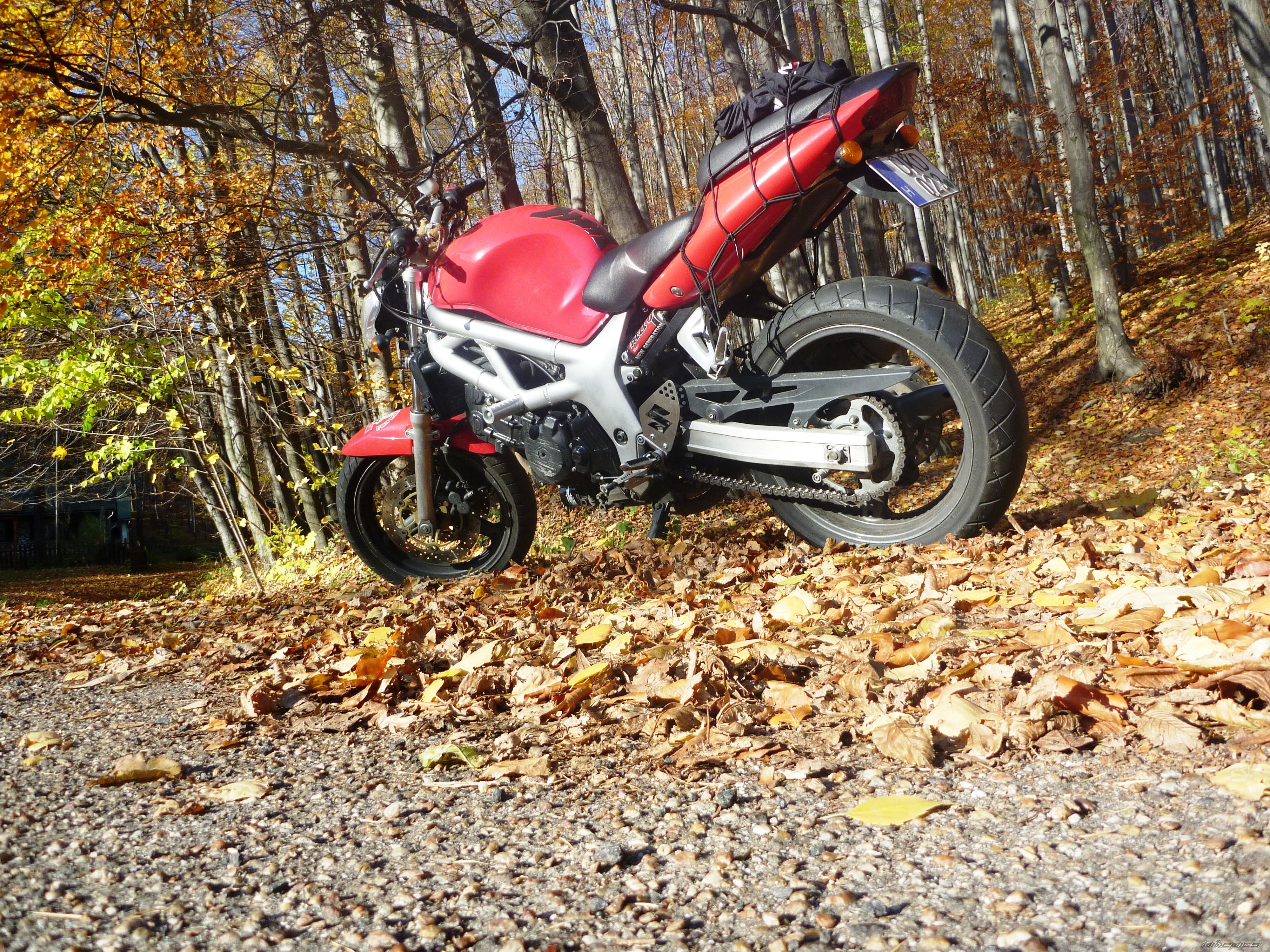 Photo 2479212