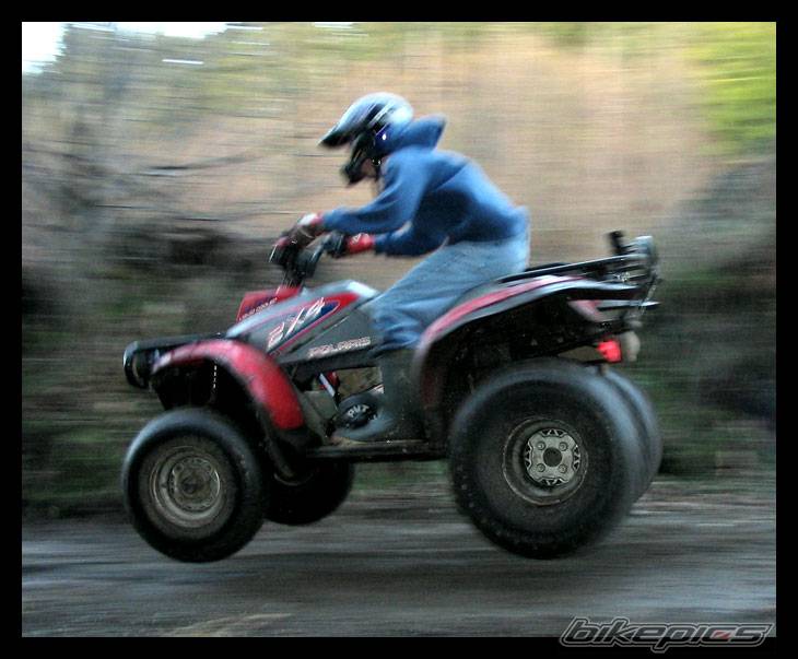 Photo 247922