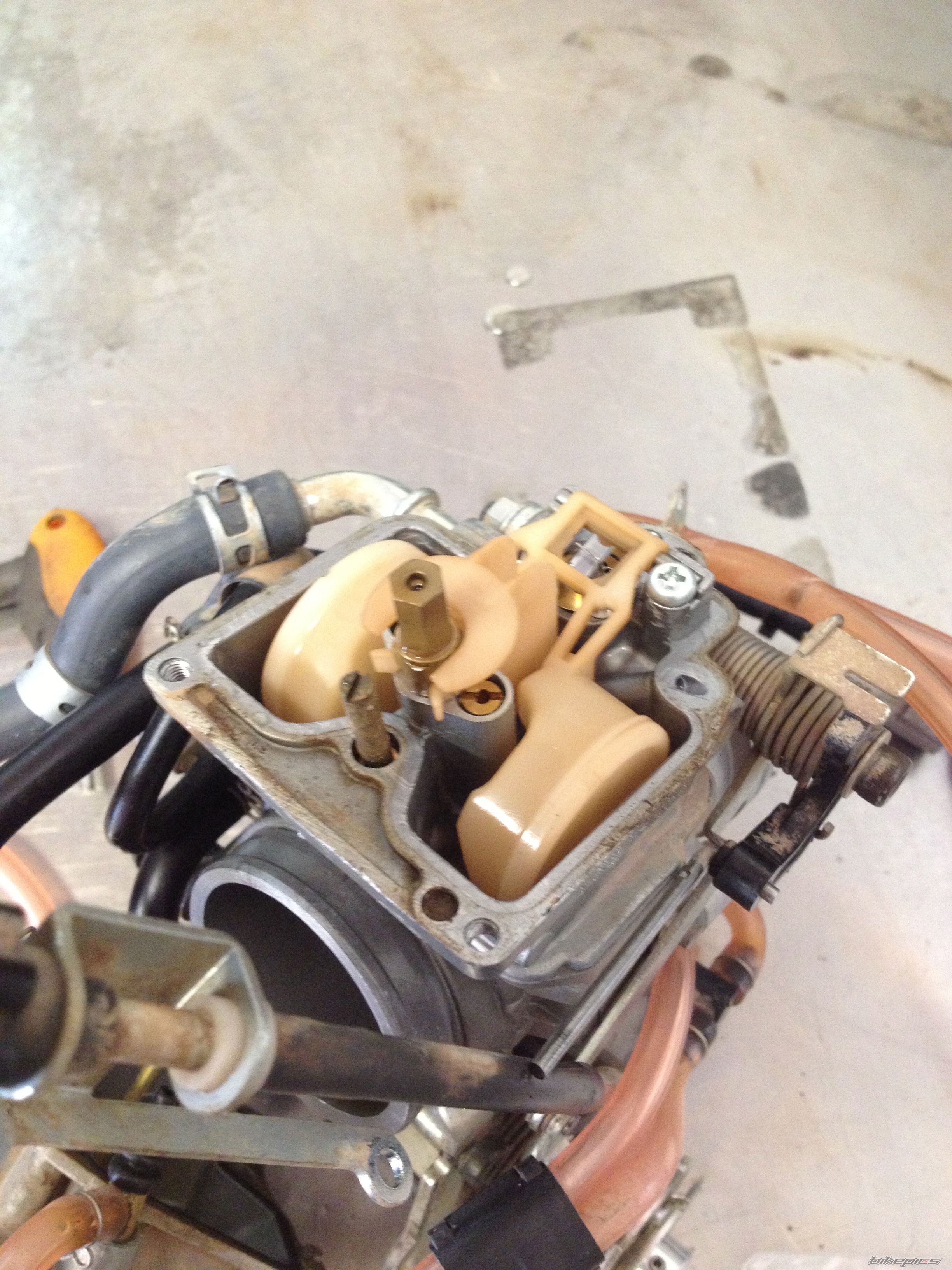 Photo 2479242