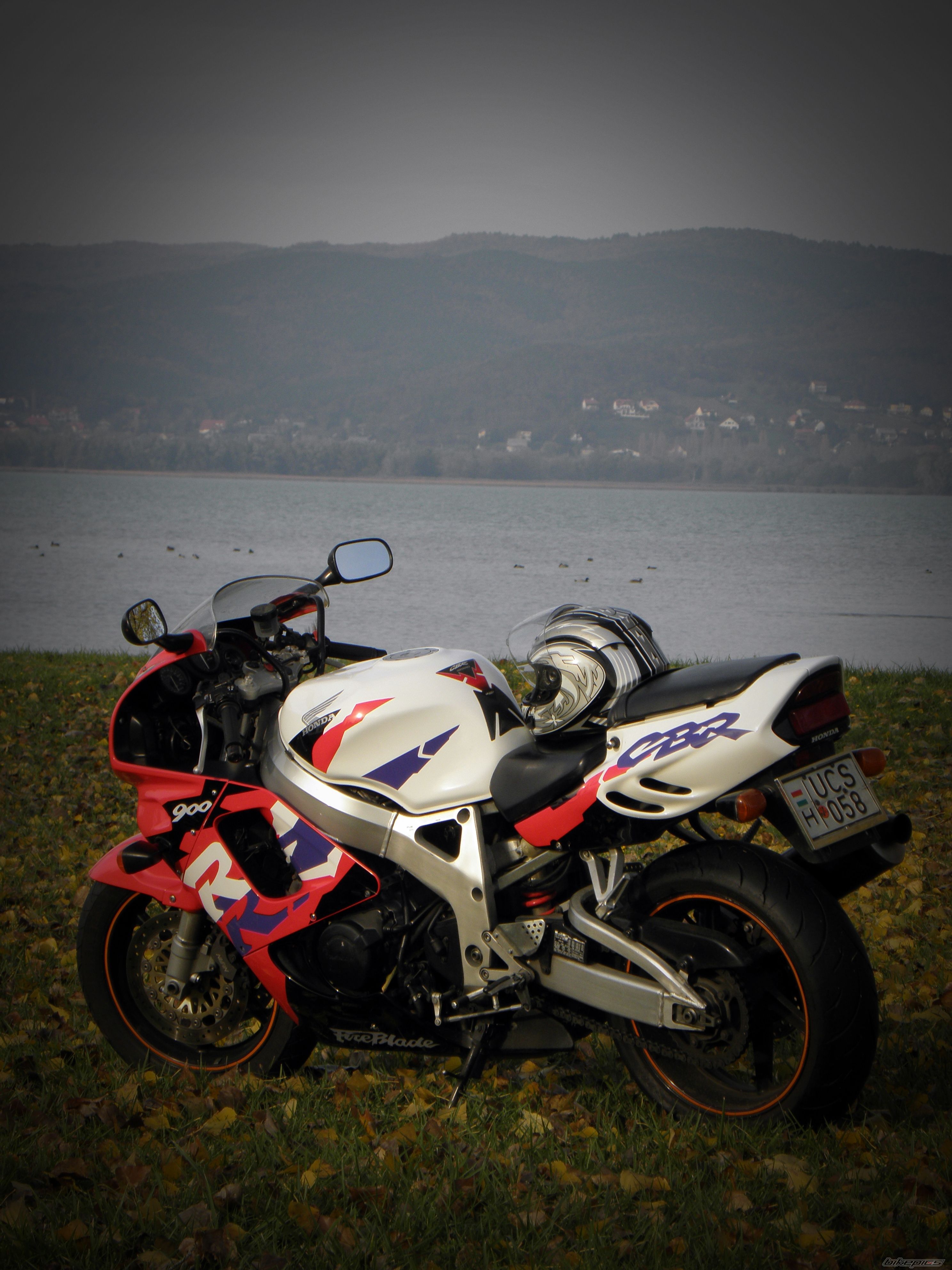 Photo 2479255