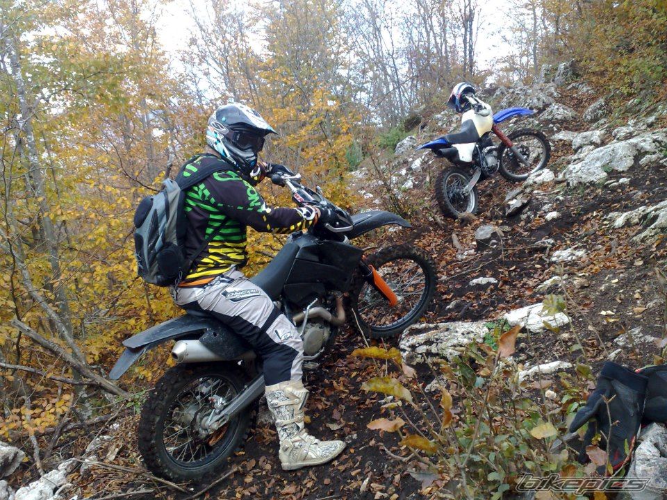 Photo 2479261