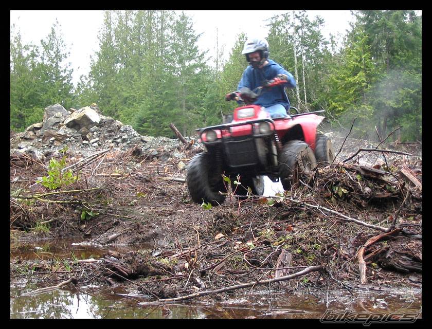 Photo 247933