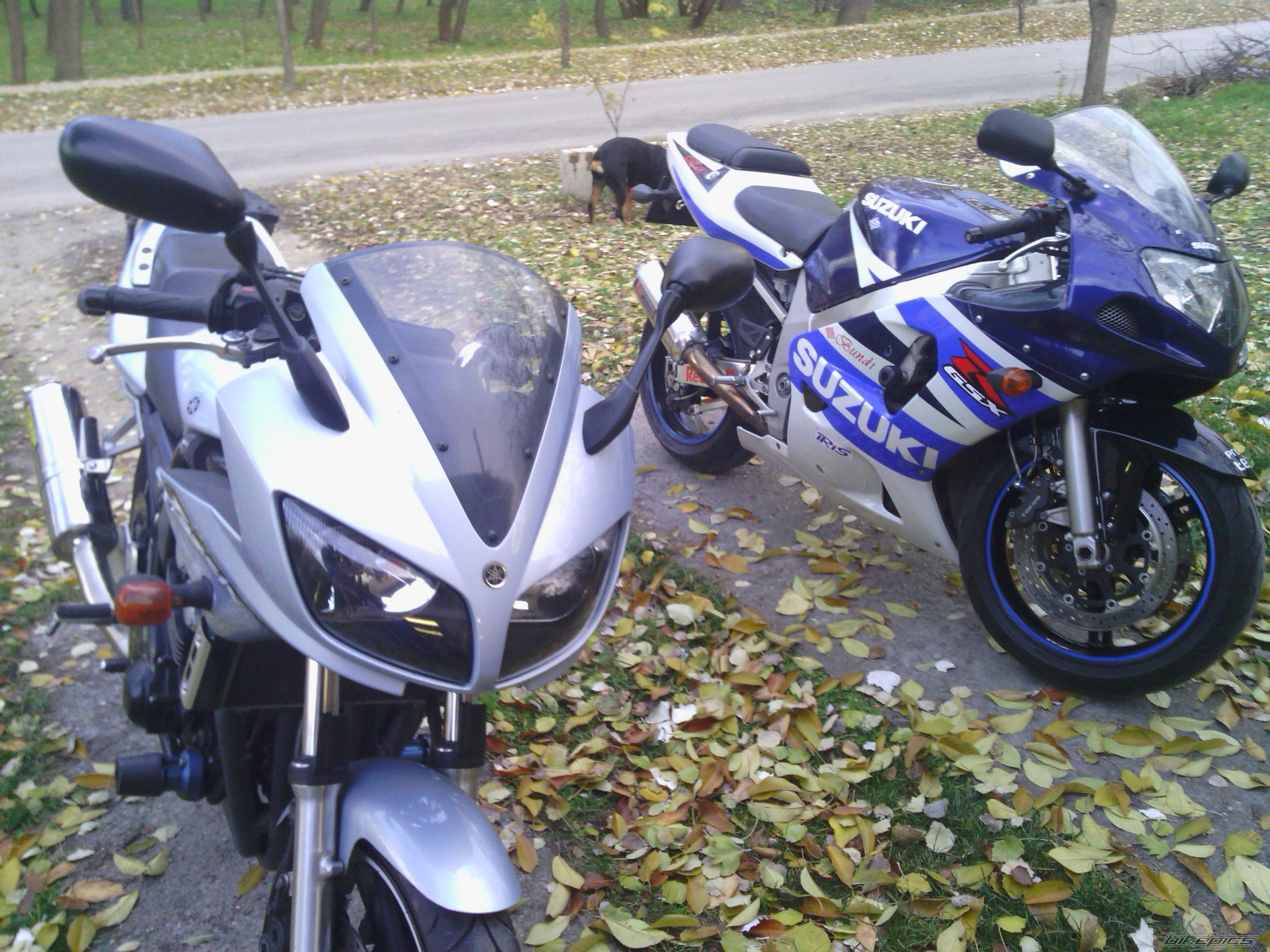 Photo 2479379