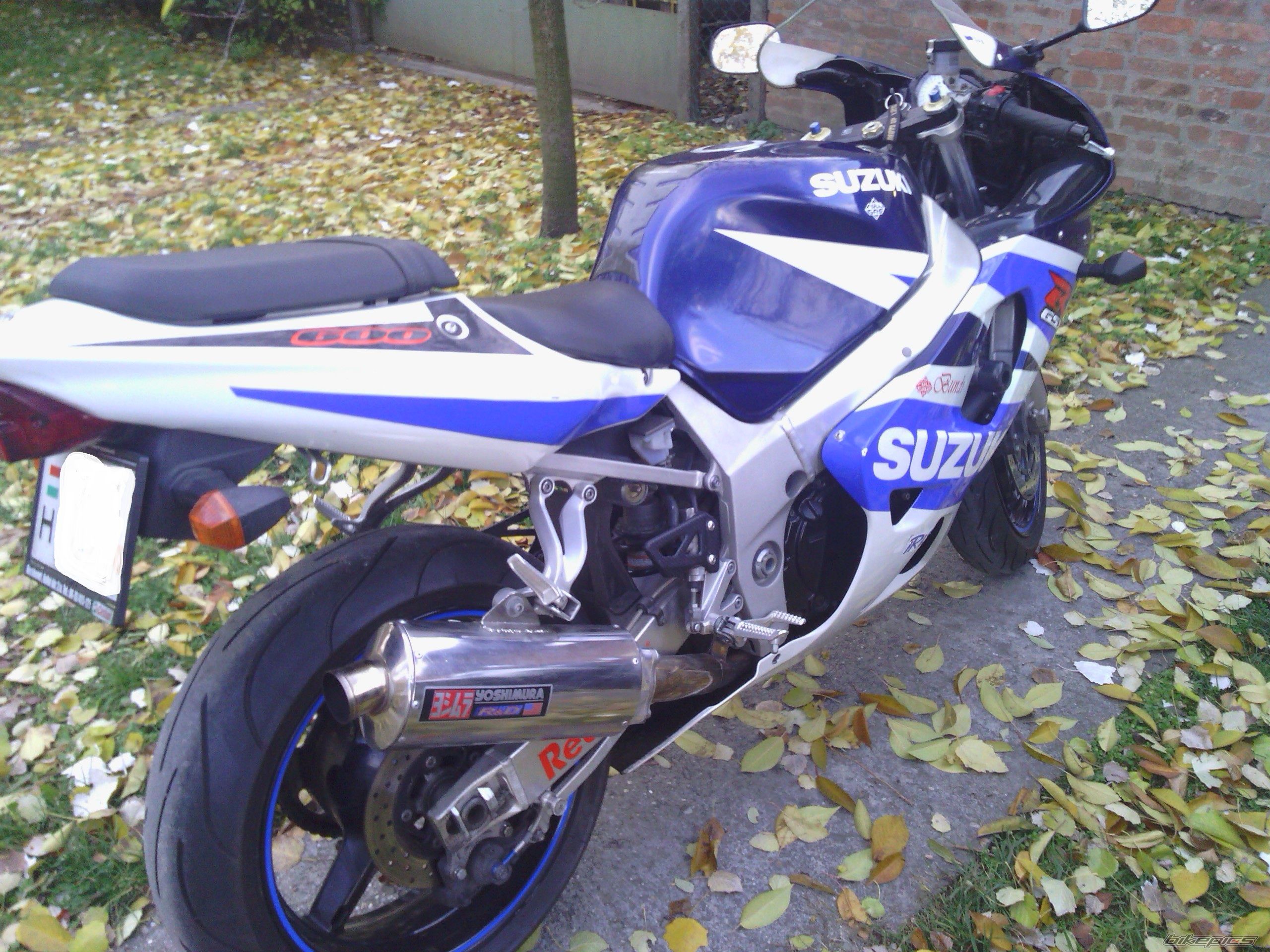 Photo 2479380