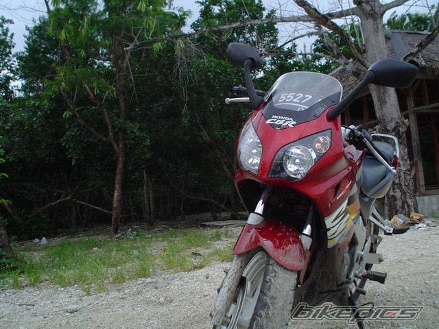 Photo 247939