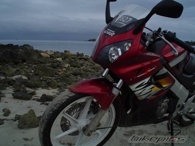 Photo 247940