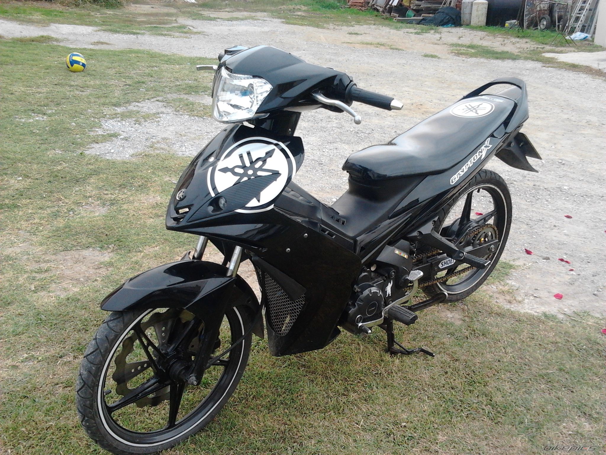 Photo 2479411
