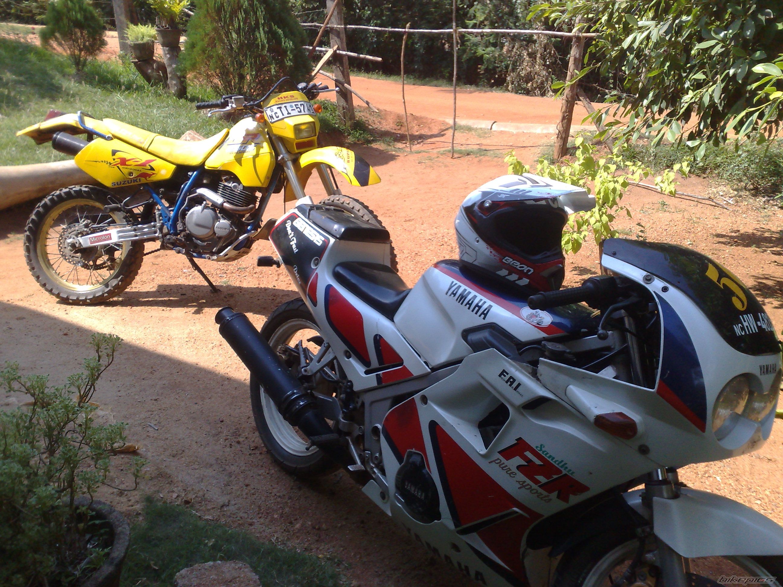 Photo 2479513