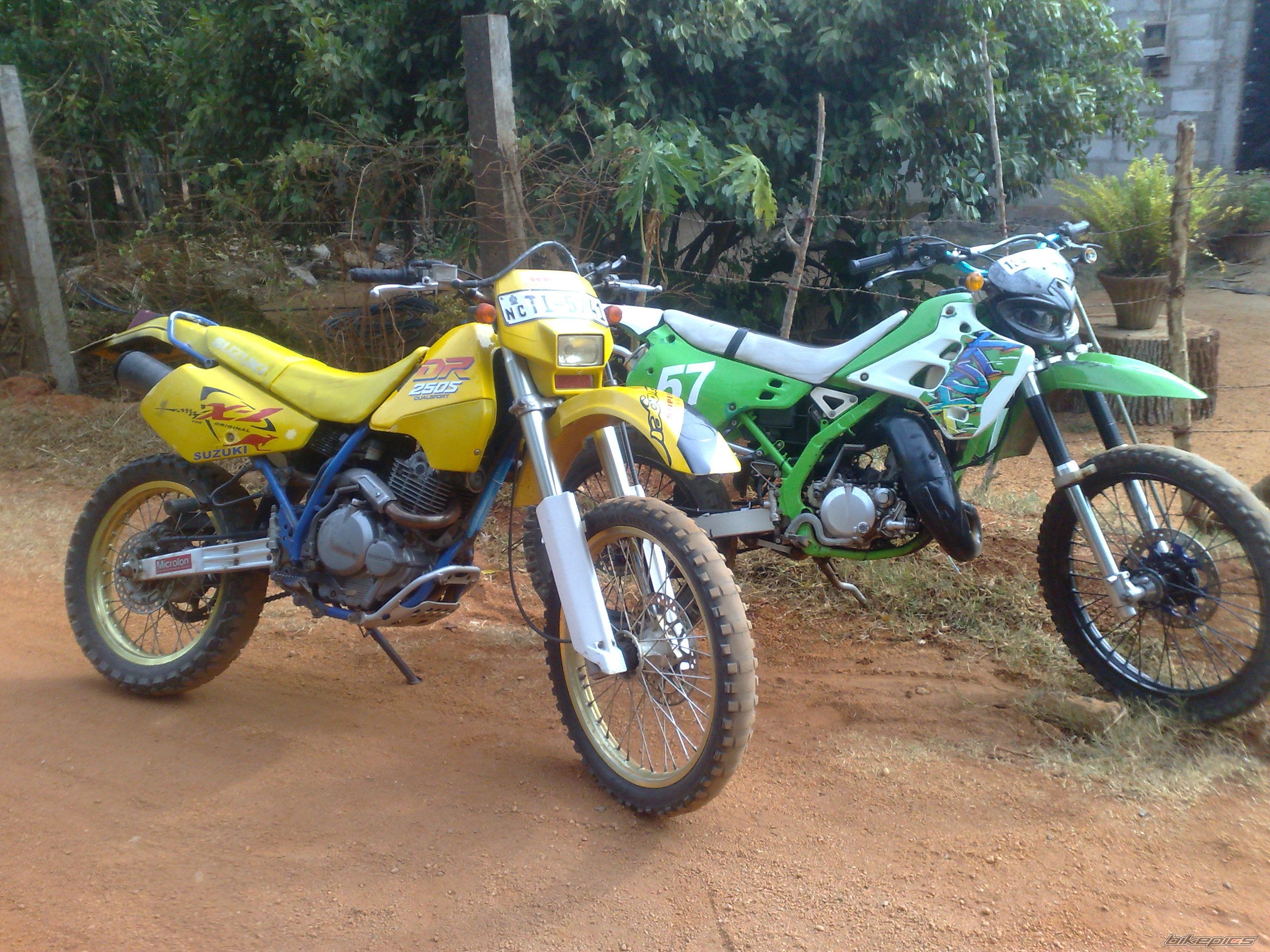Photo 2479519