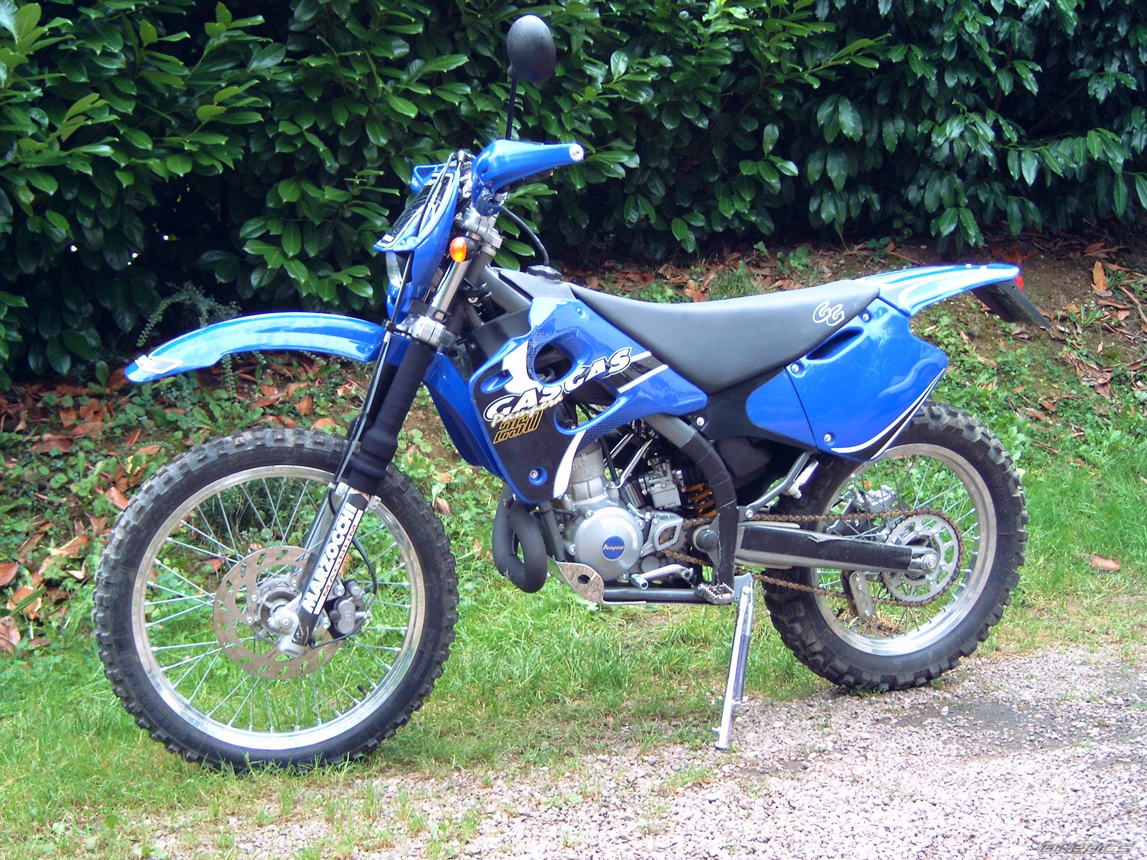 Photo 247952