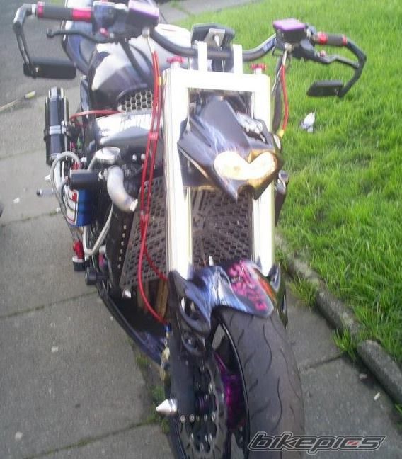 Photo 2479624