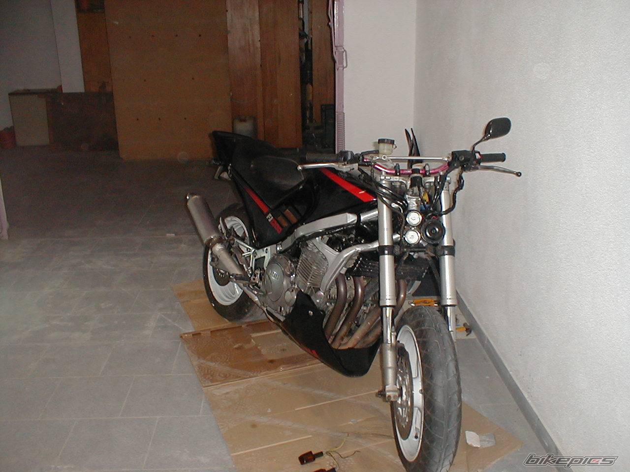 Photo 247964