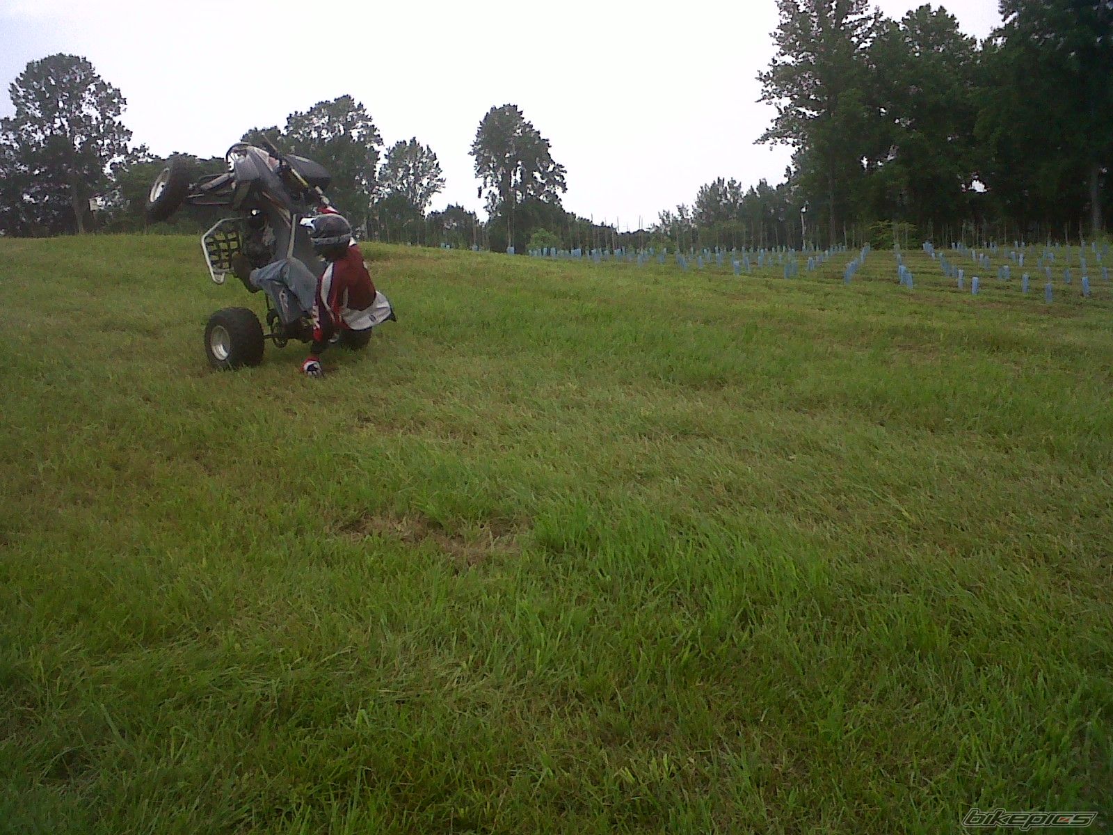 Bike Photo 2479647