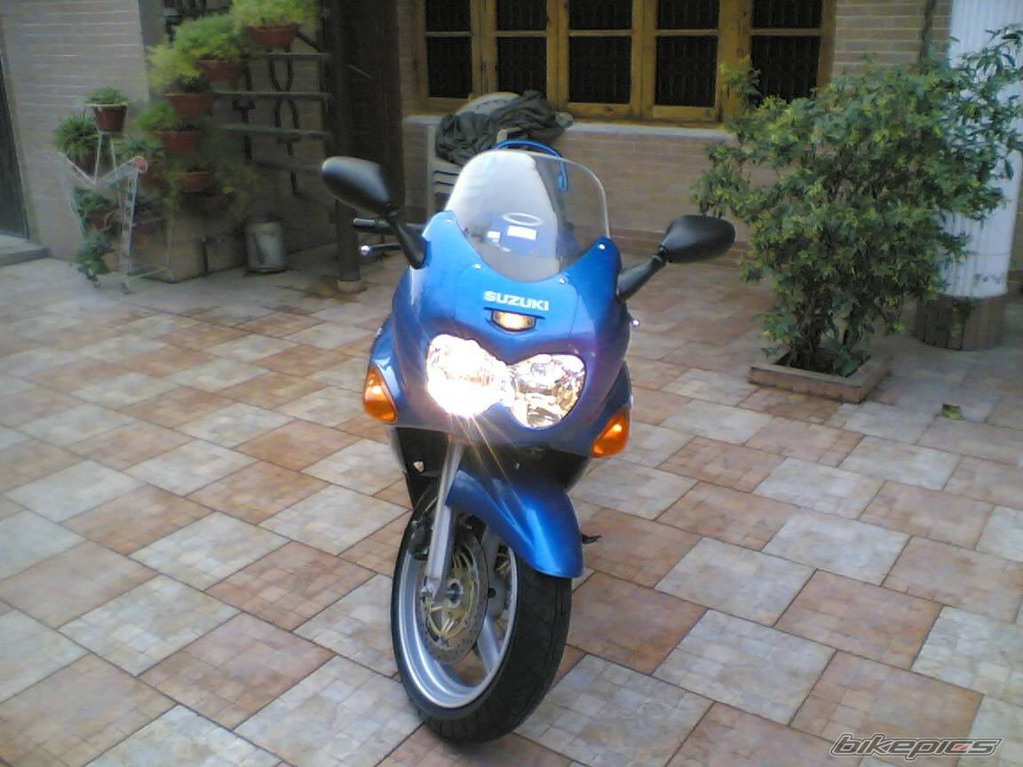 Photo 247969
