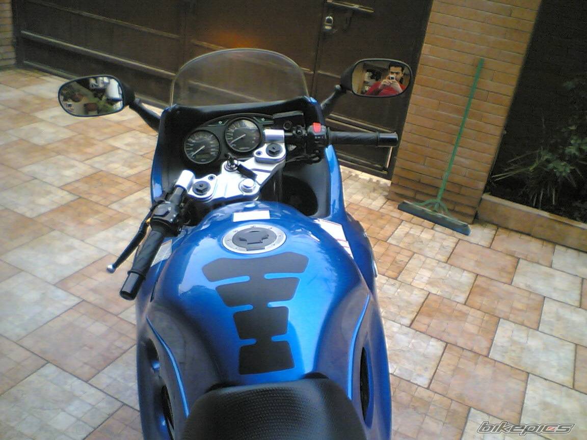 Photo 247971