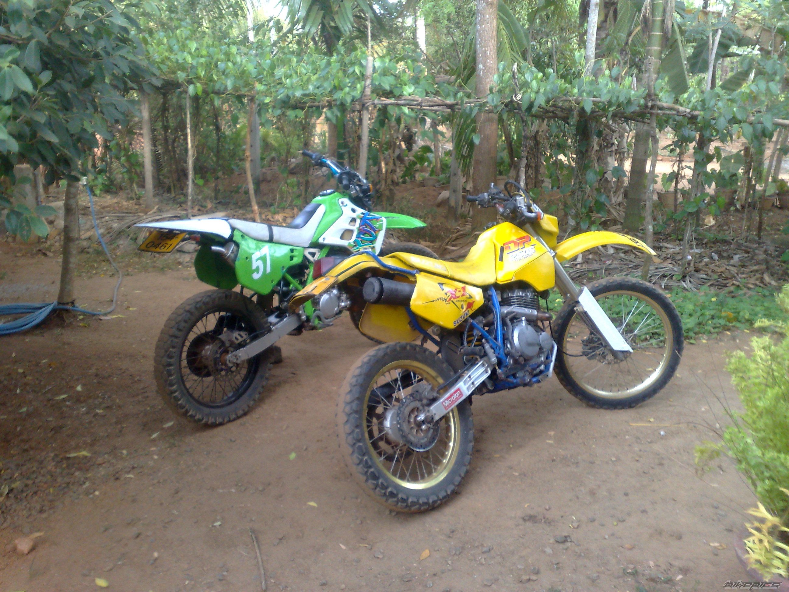 Photo 2479721