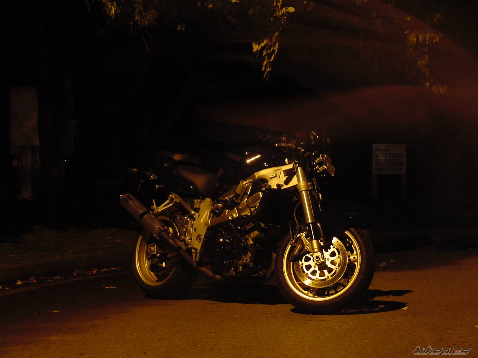 Photo 247974