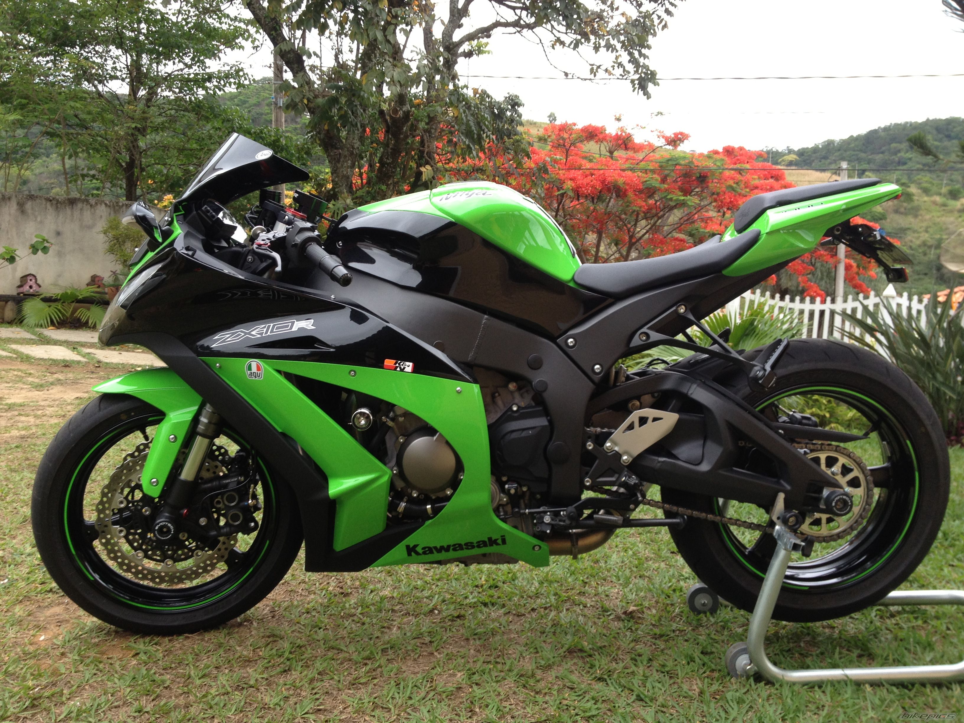 Photo 2479756