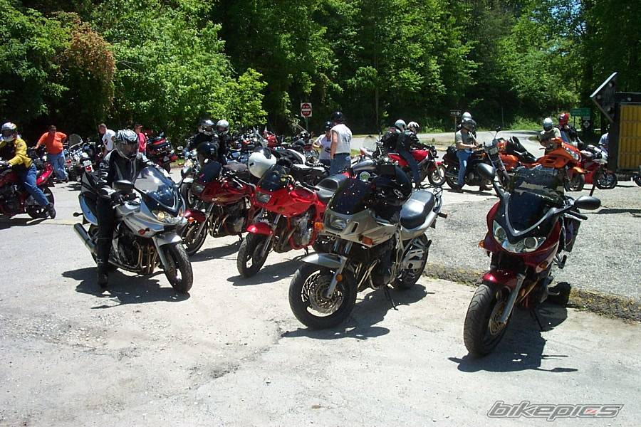 Photo 247976
