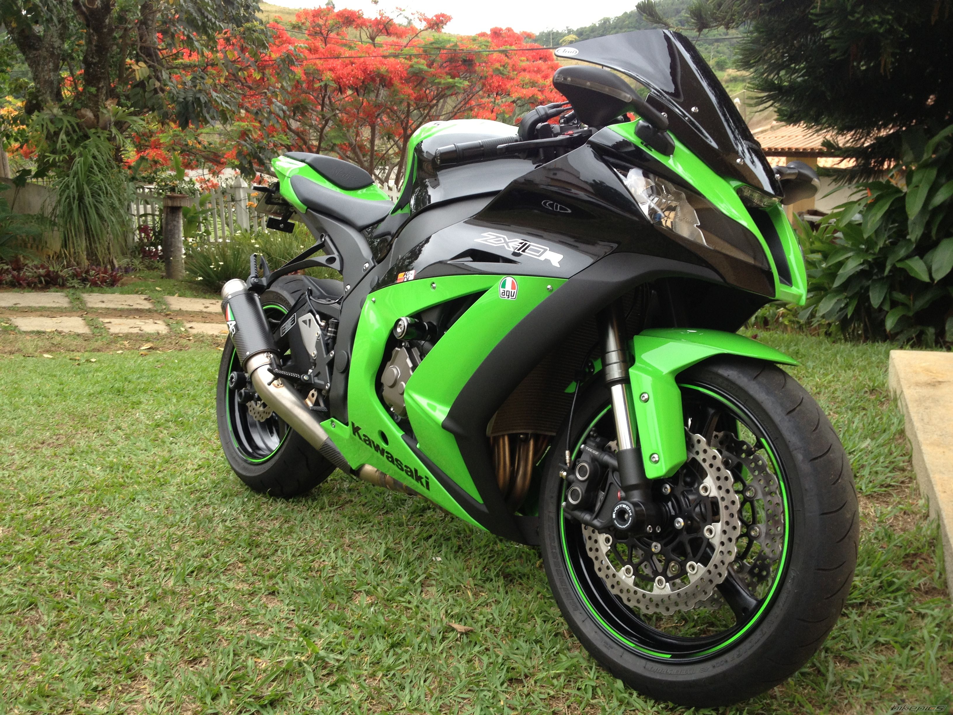 Photo 2479774