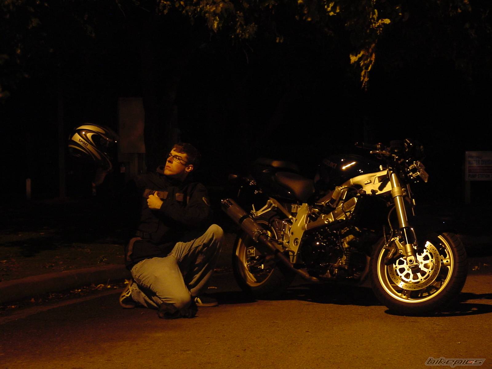 Photo 247978