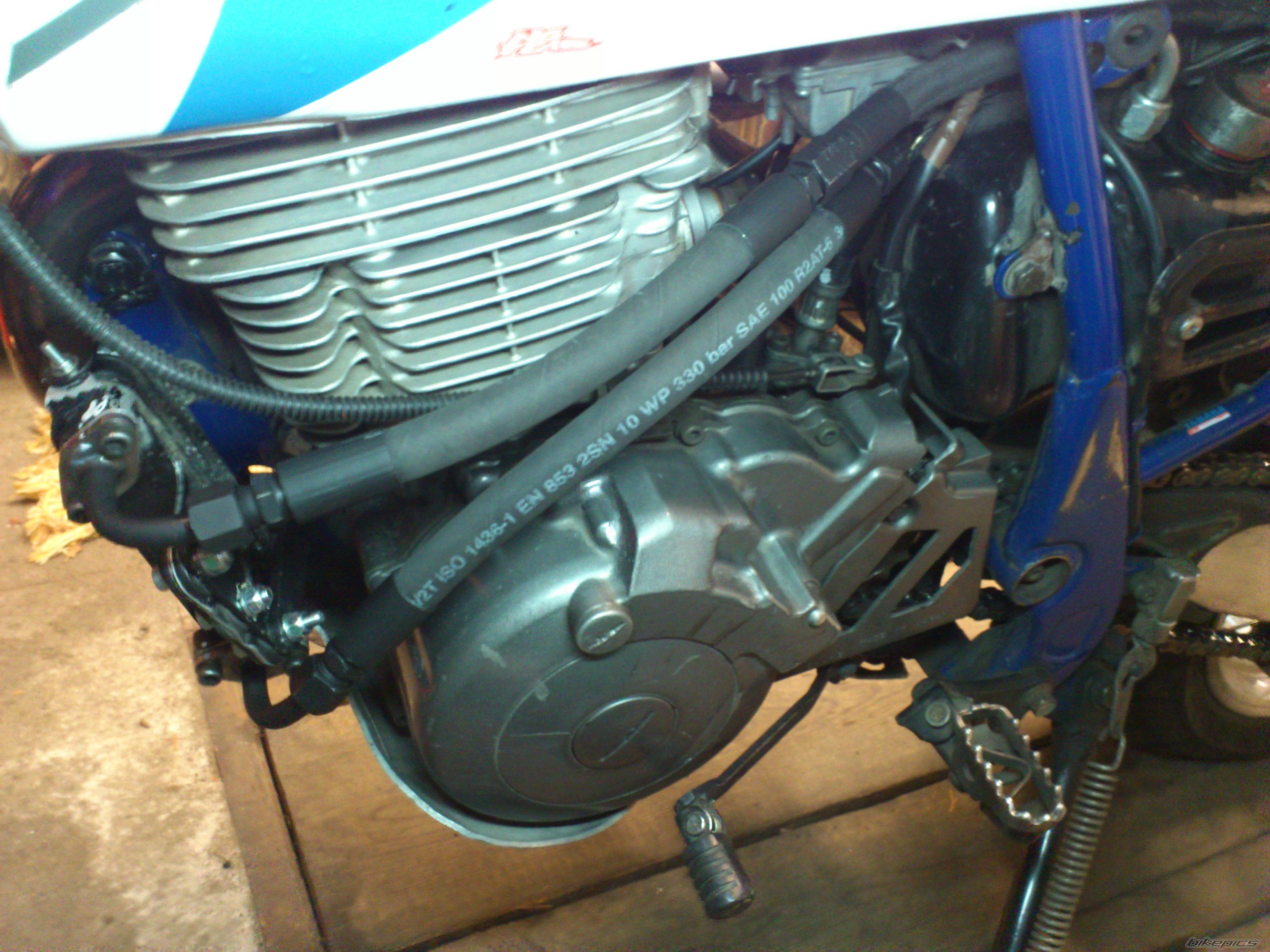 Photo 2479791