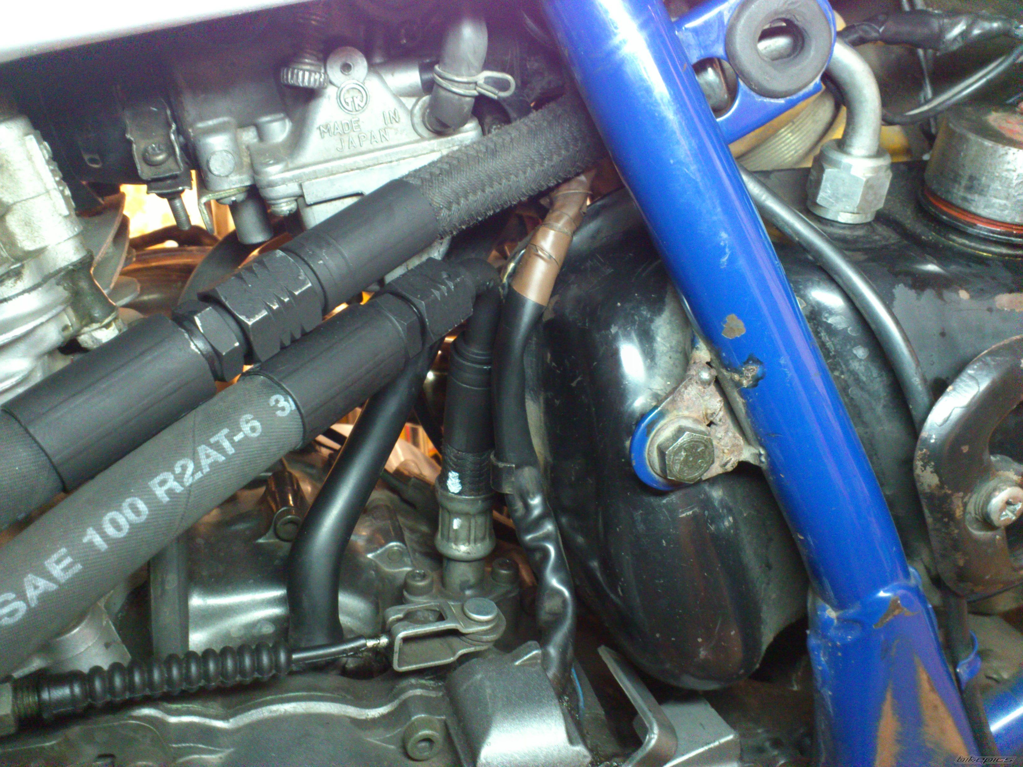 Photo 2479792