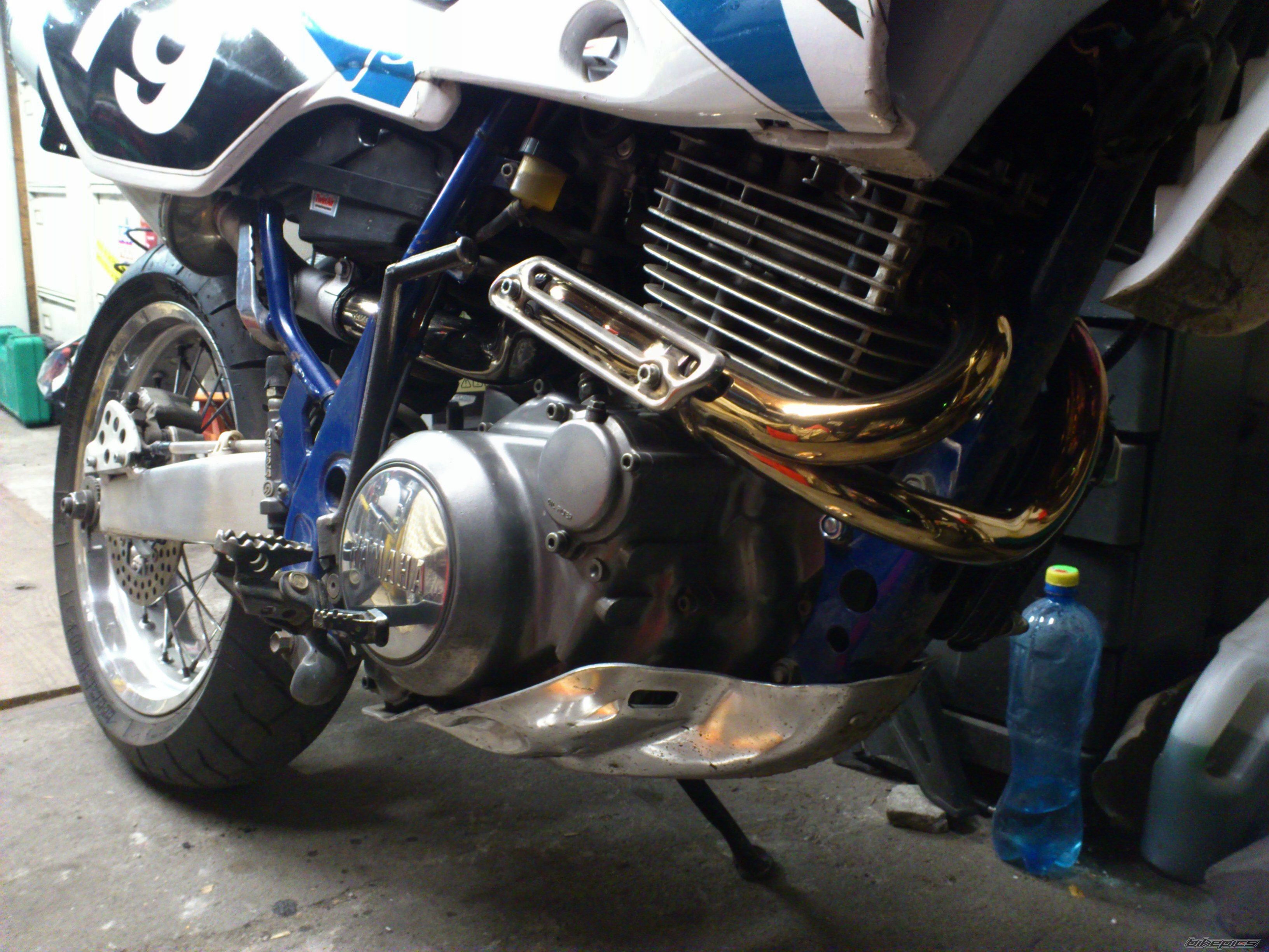 Photo 2479794