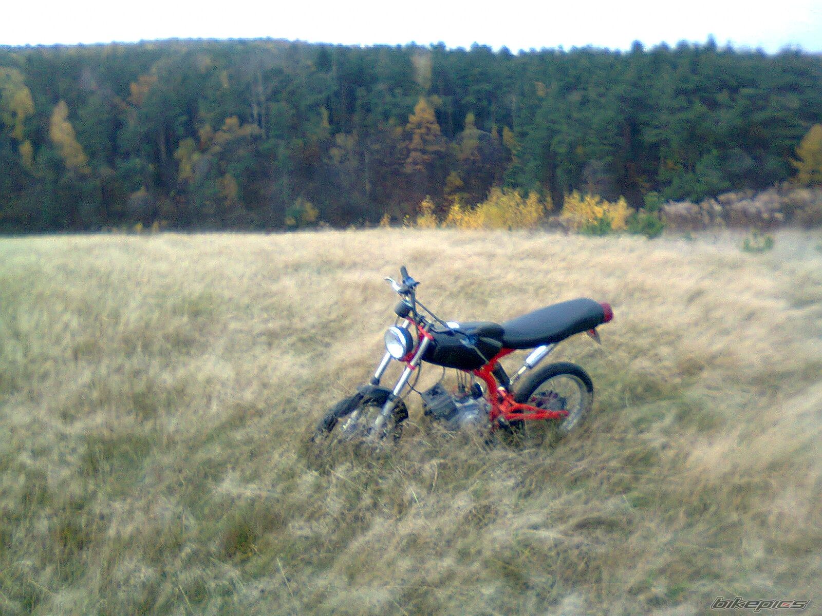 Photo 2479871