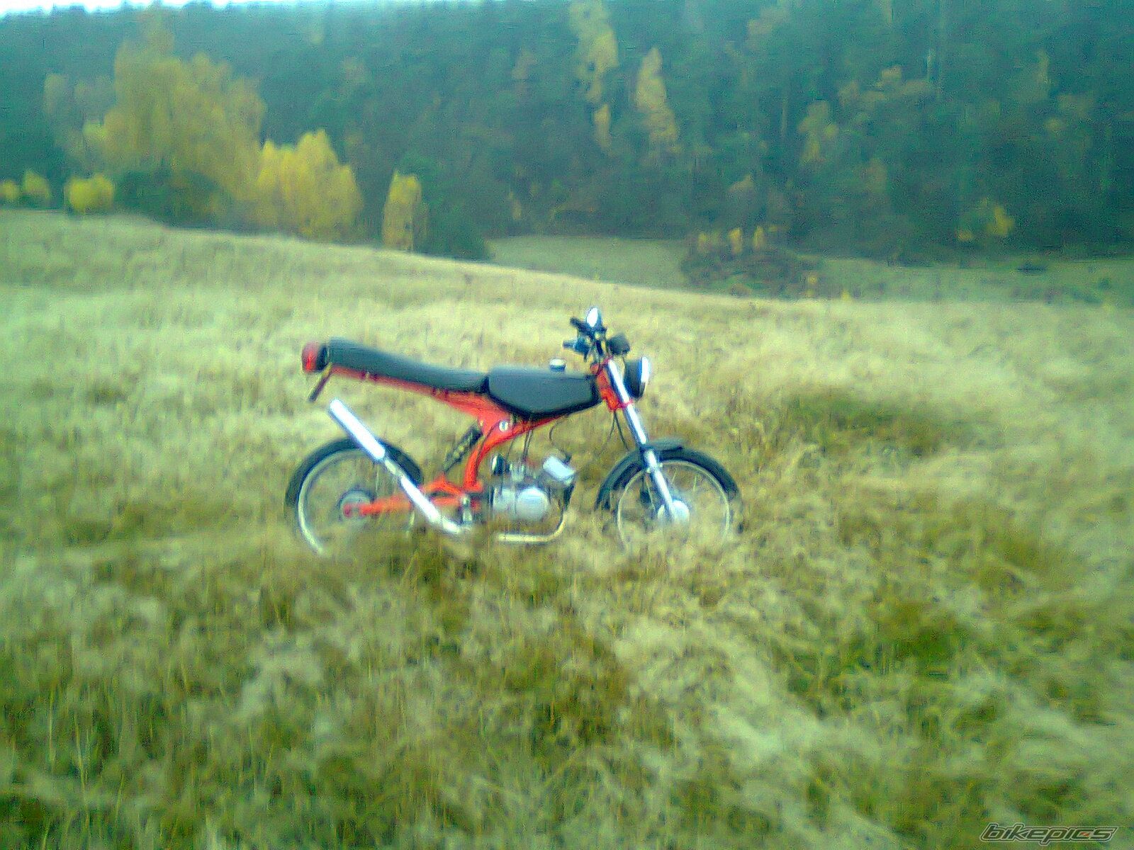 Photo 2479872