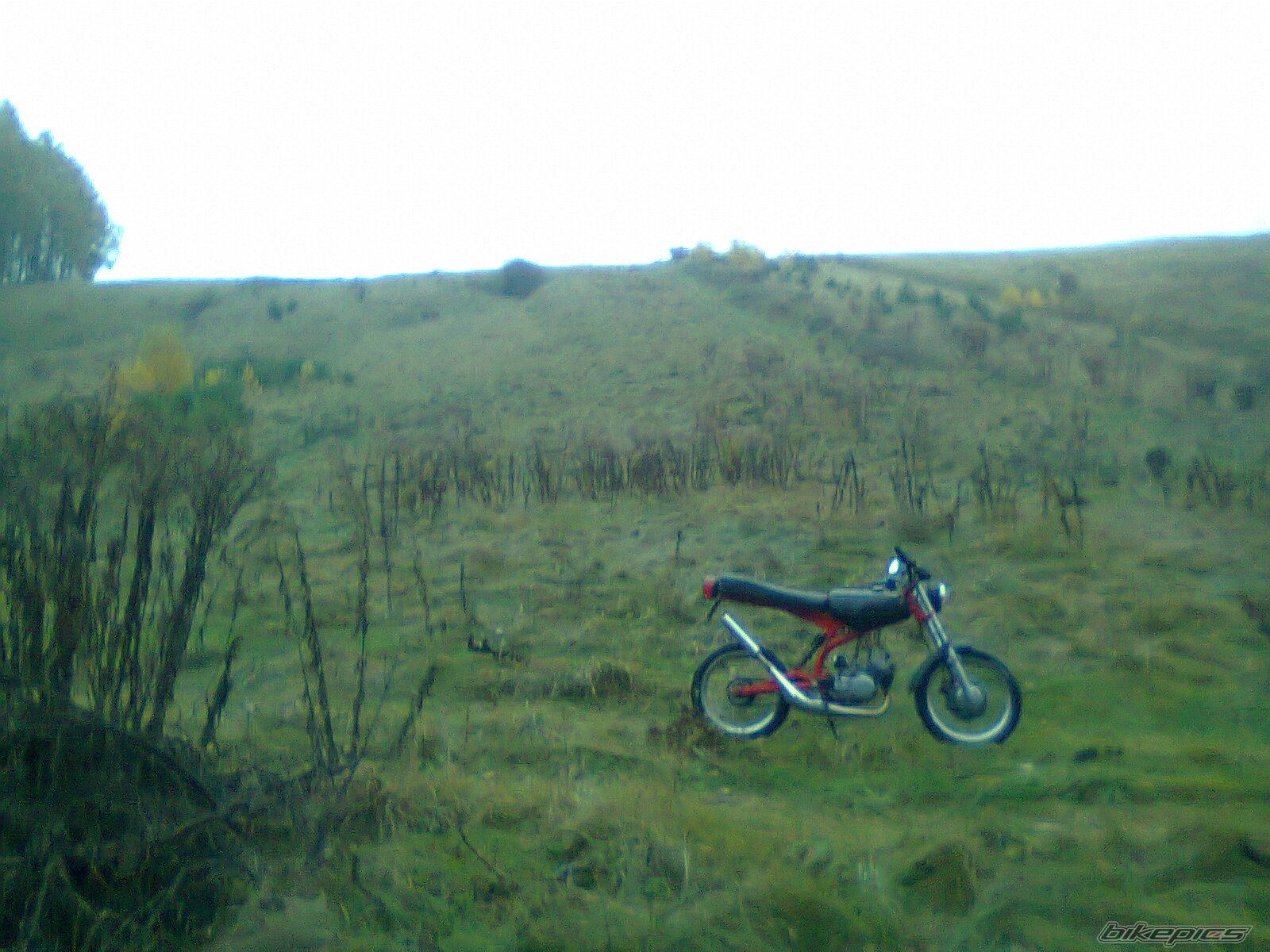 Photo 2479874
