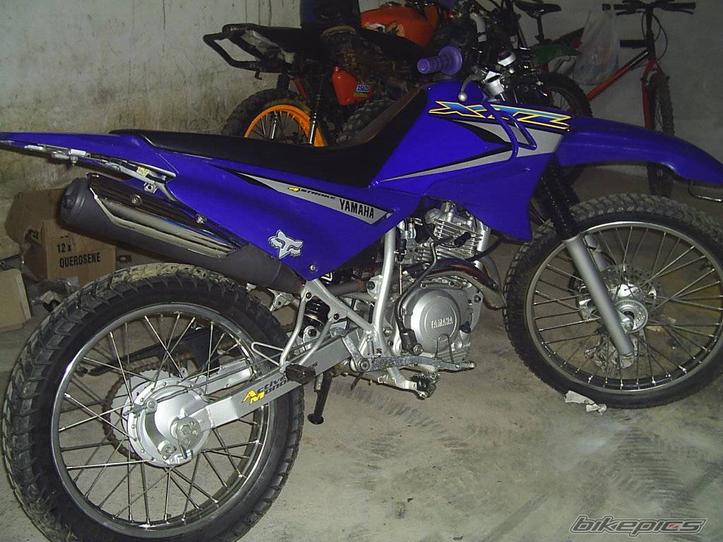 Photo 247988