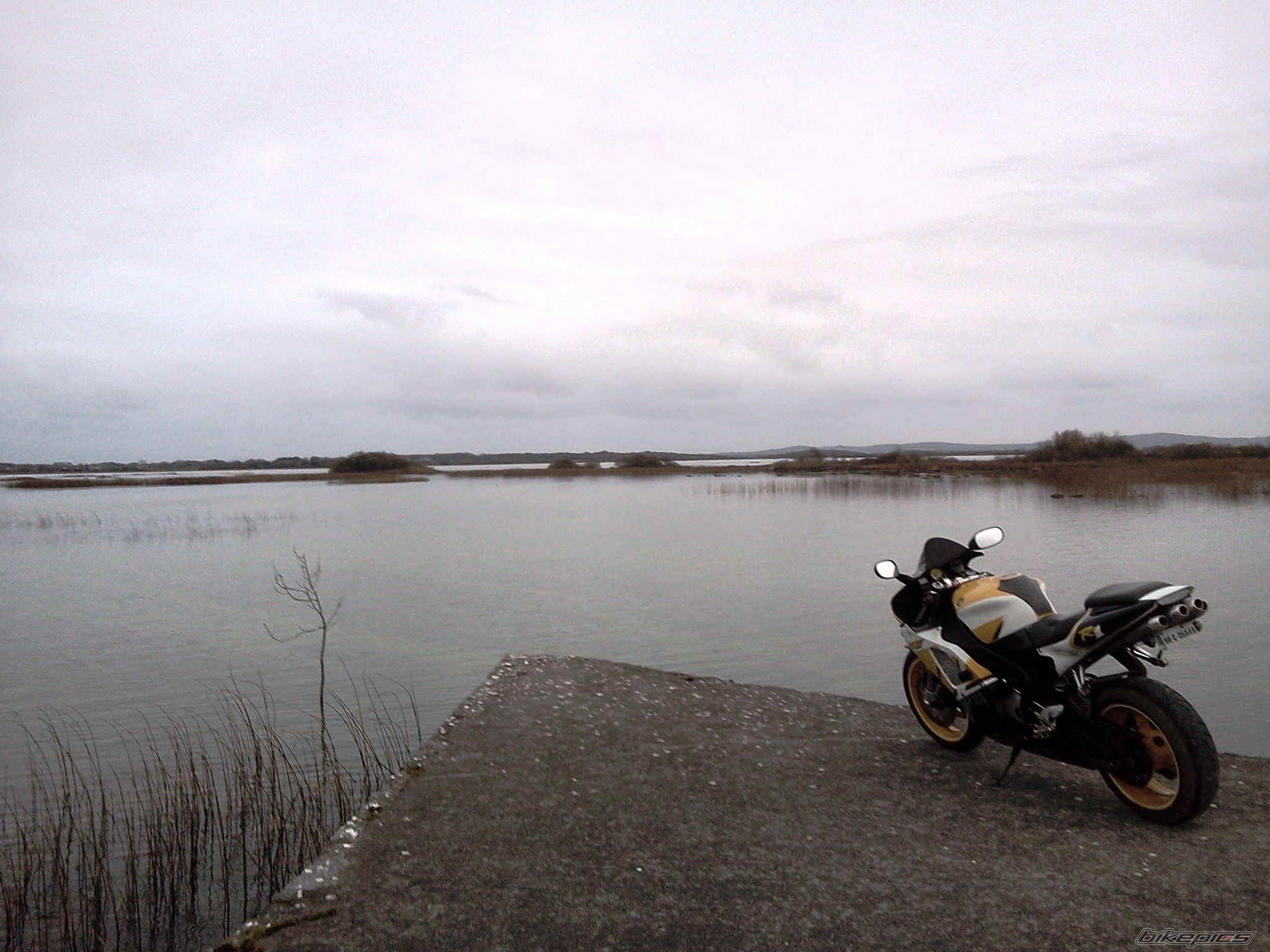 Photo 2479901