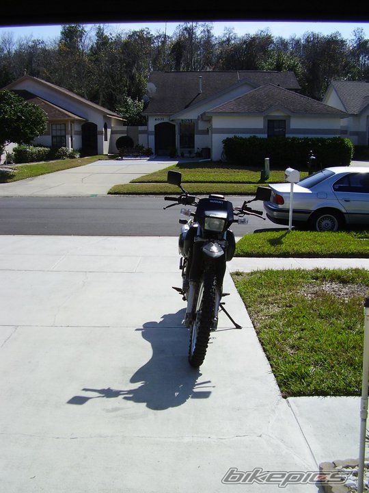Photo 2479907