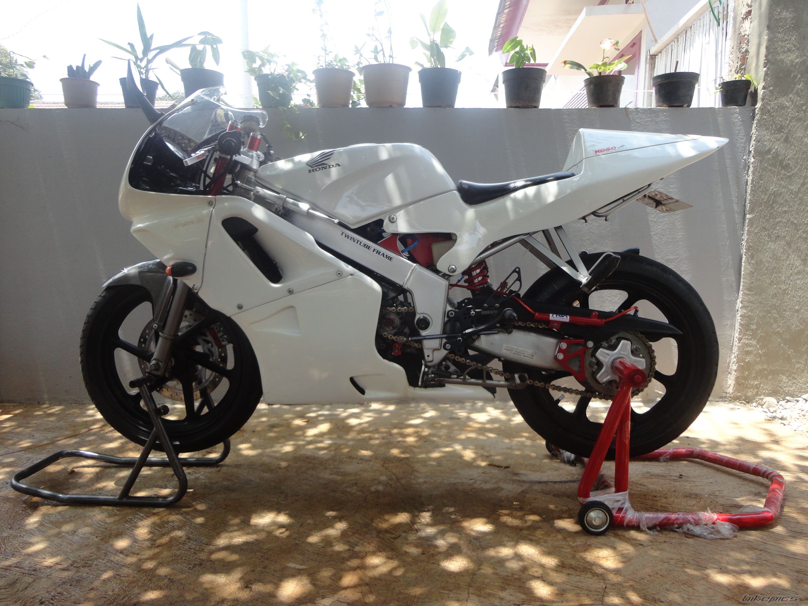 Photo 2479937
