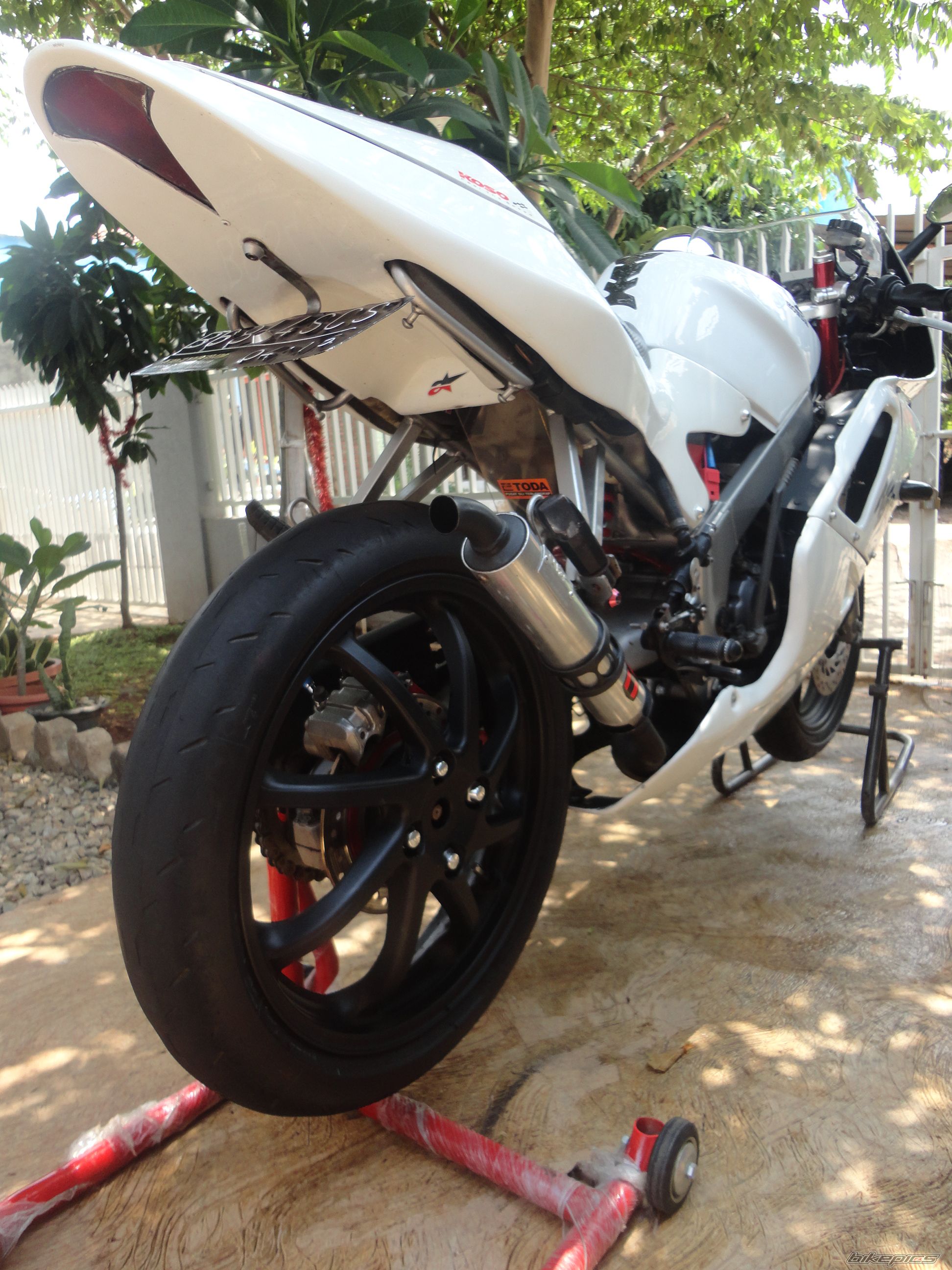 Photo 2479942
