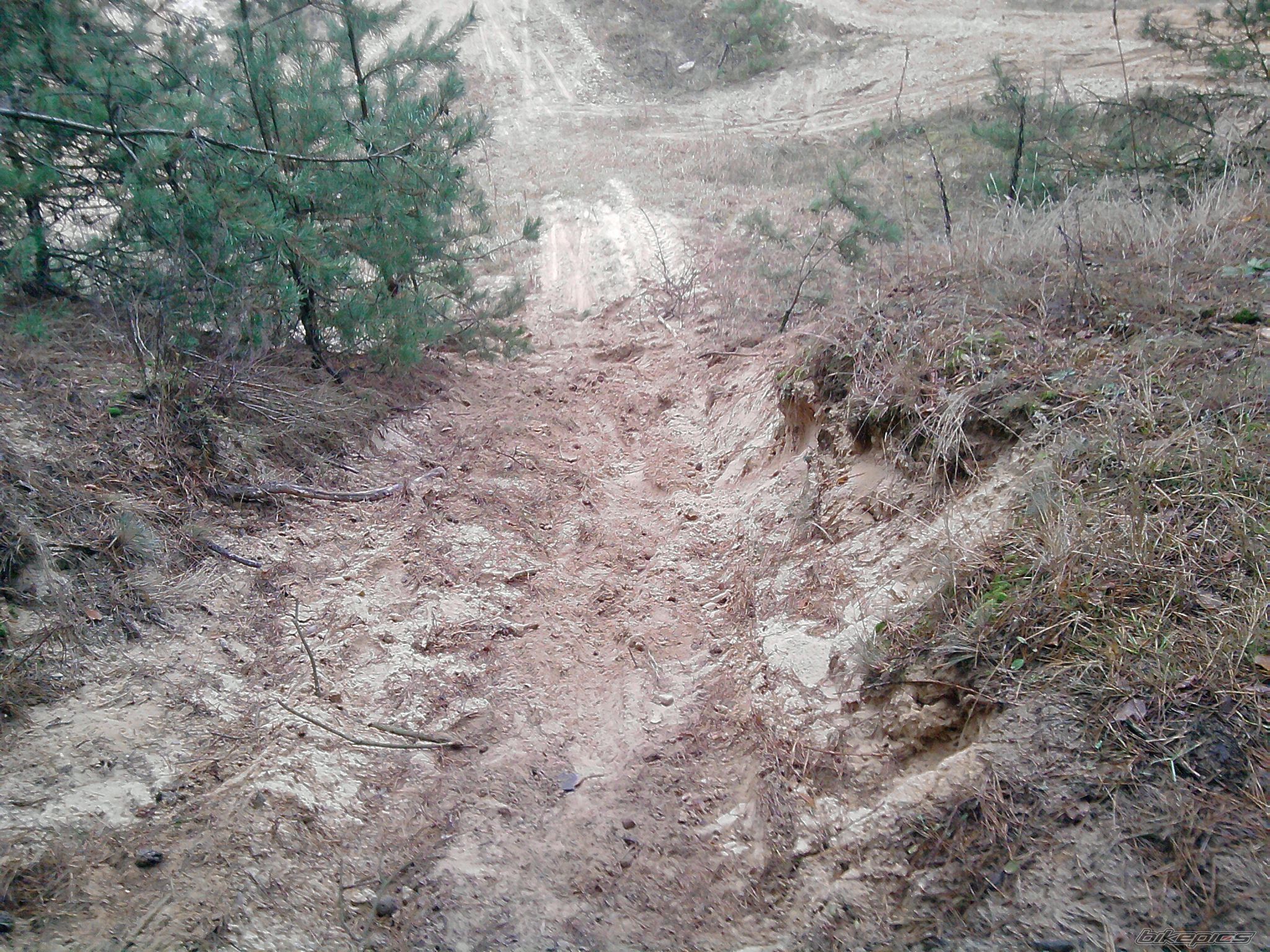Photo 2479945