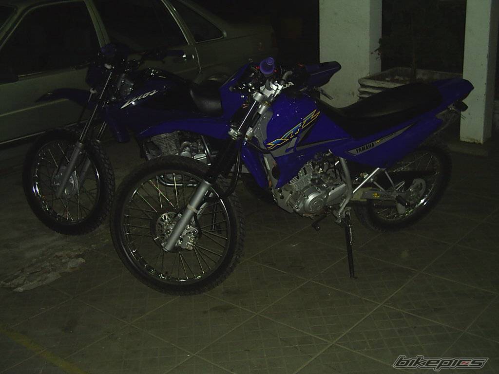 Photo 247996