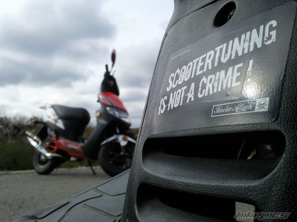 Photo 2480010