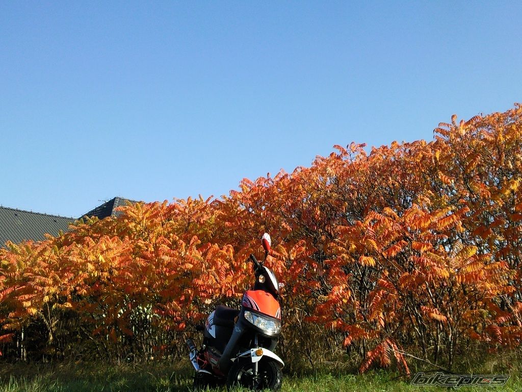 Photo 2480015
