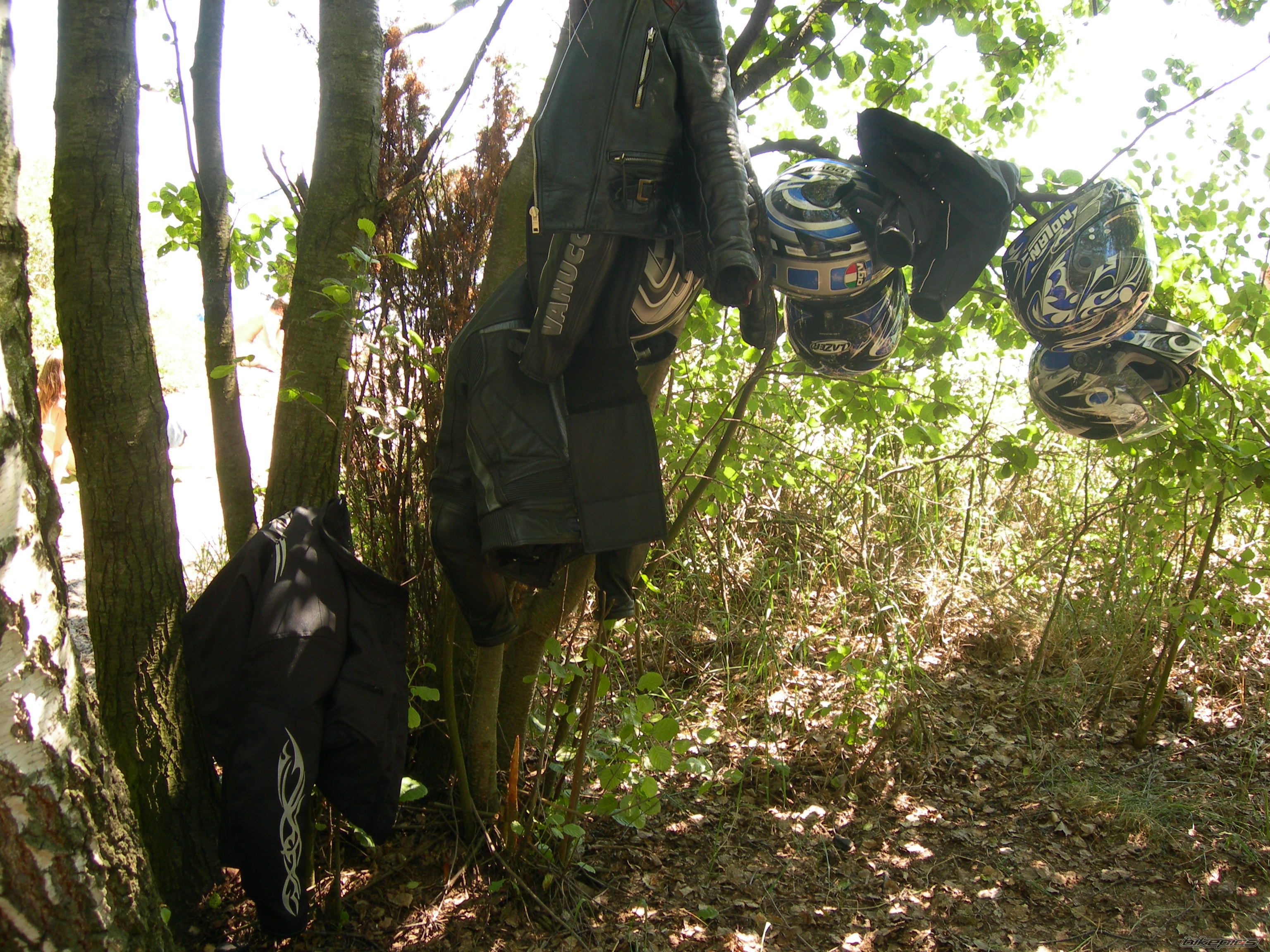 Bike Photo 2480039